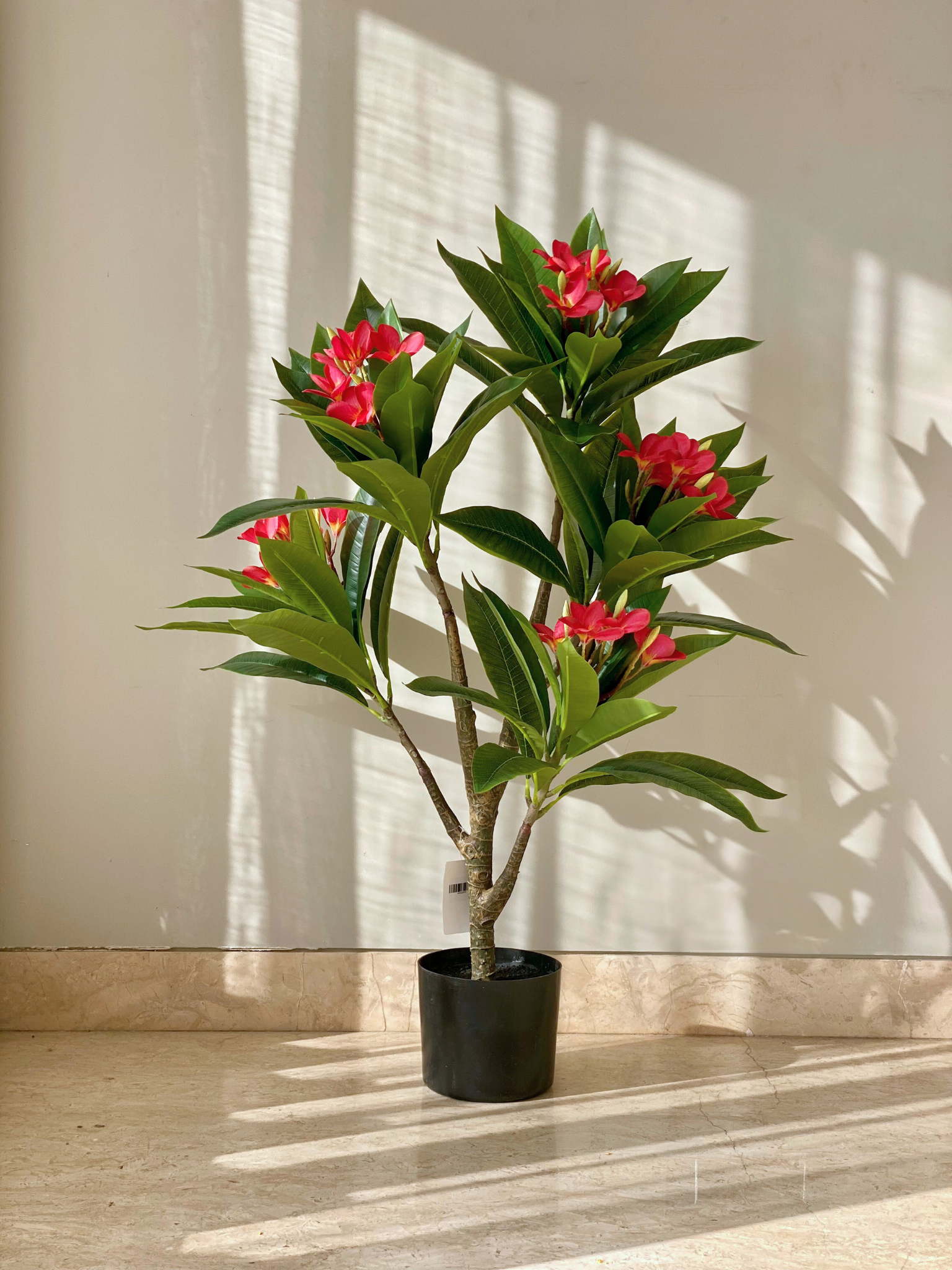 Artificial Frangipani Puce Plant - 3 Feet