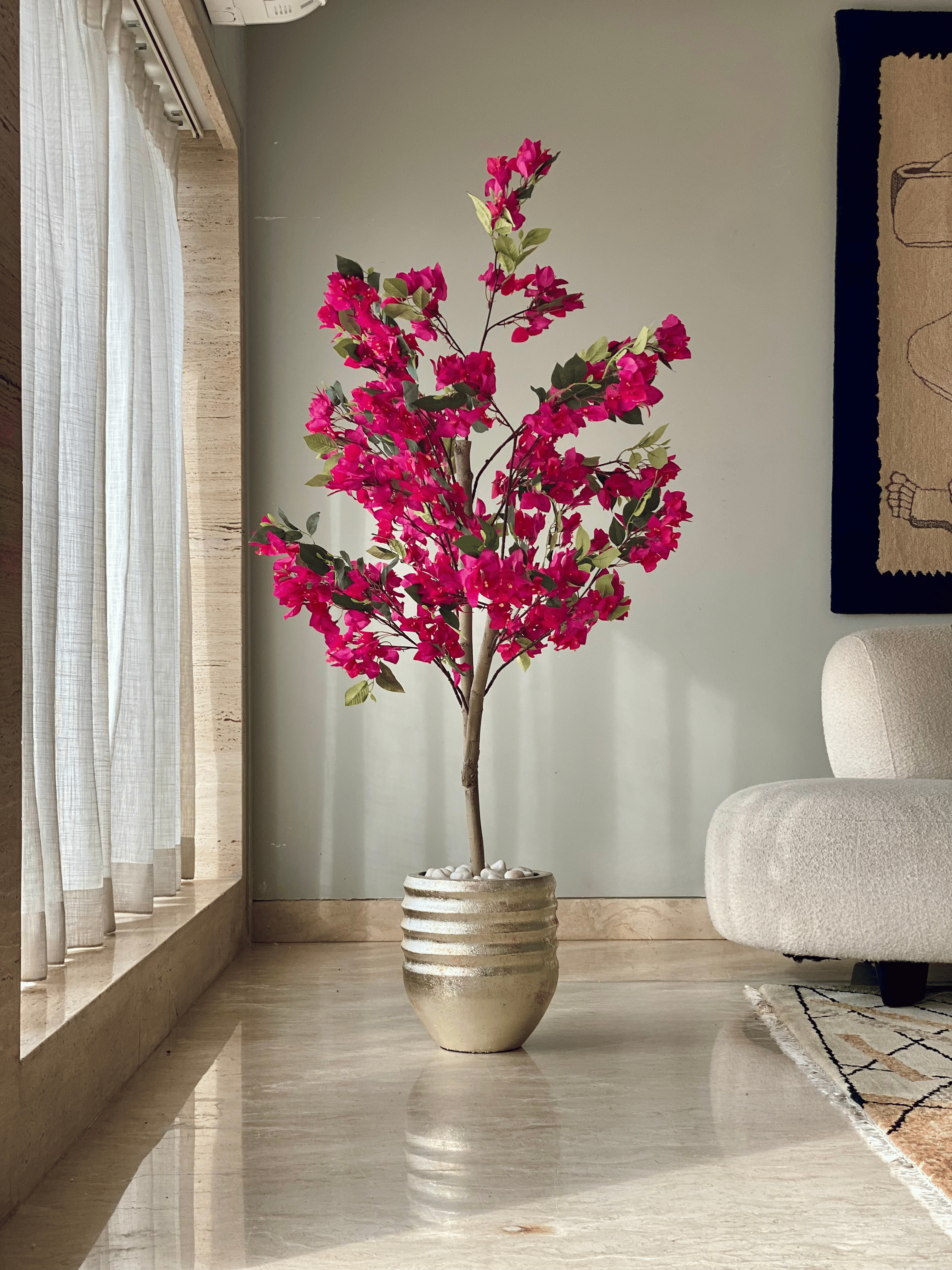 Eden Allura Planters: Medium