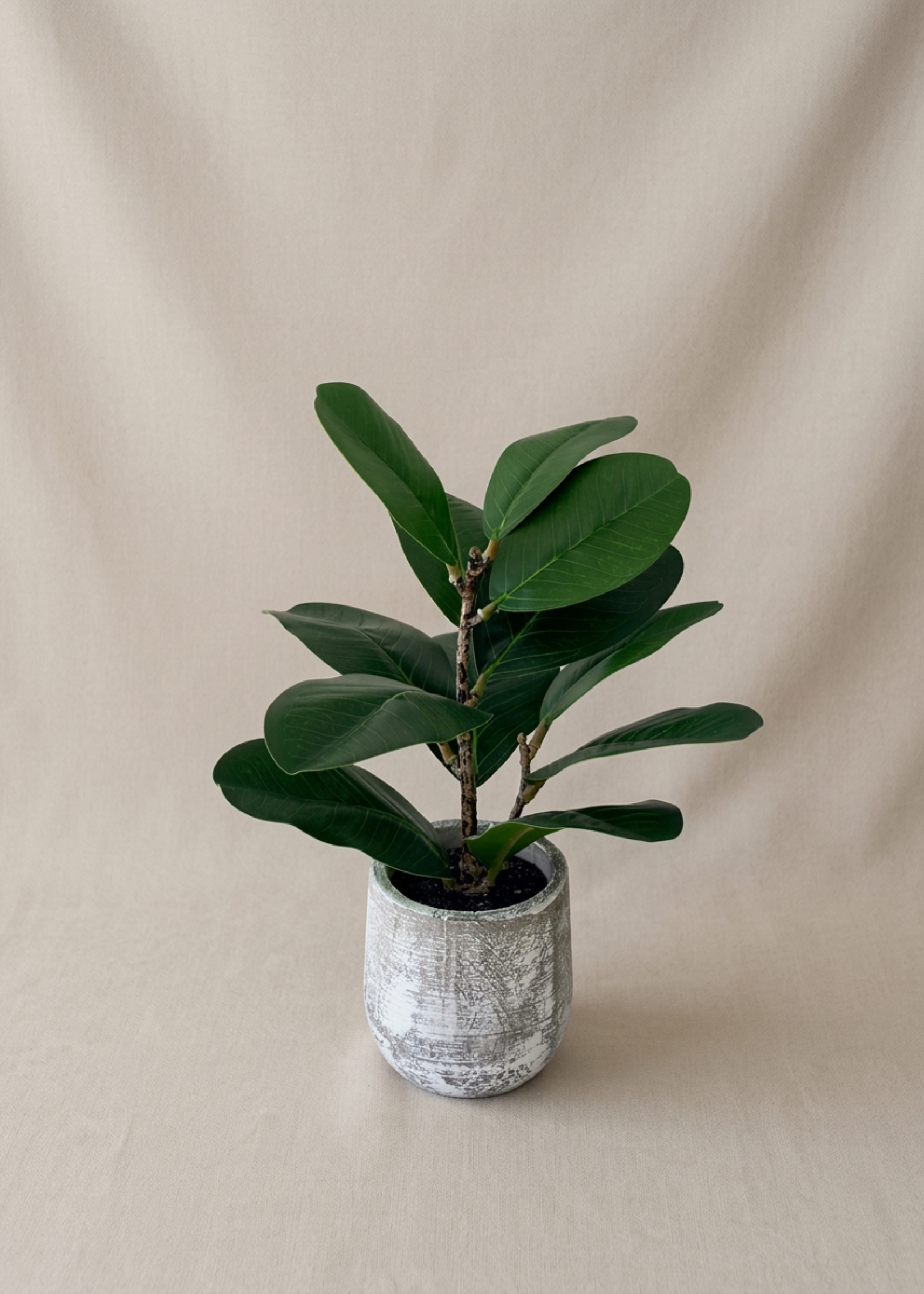 Artfiicial Bonsai Plant - 1 Feet