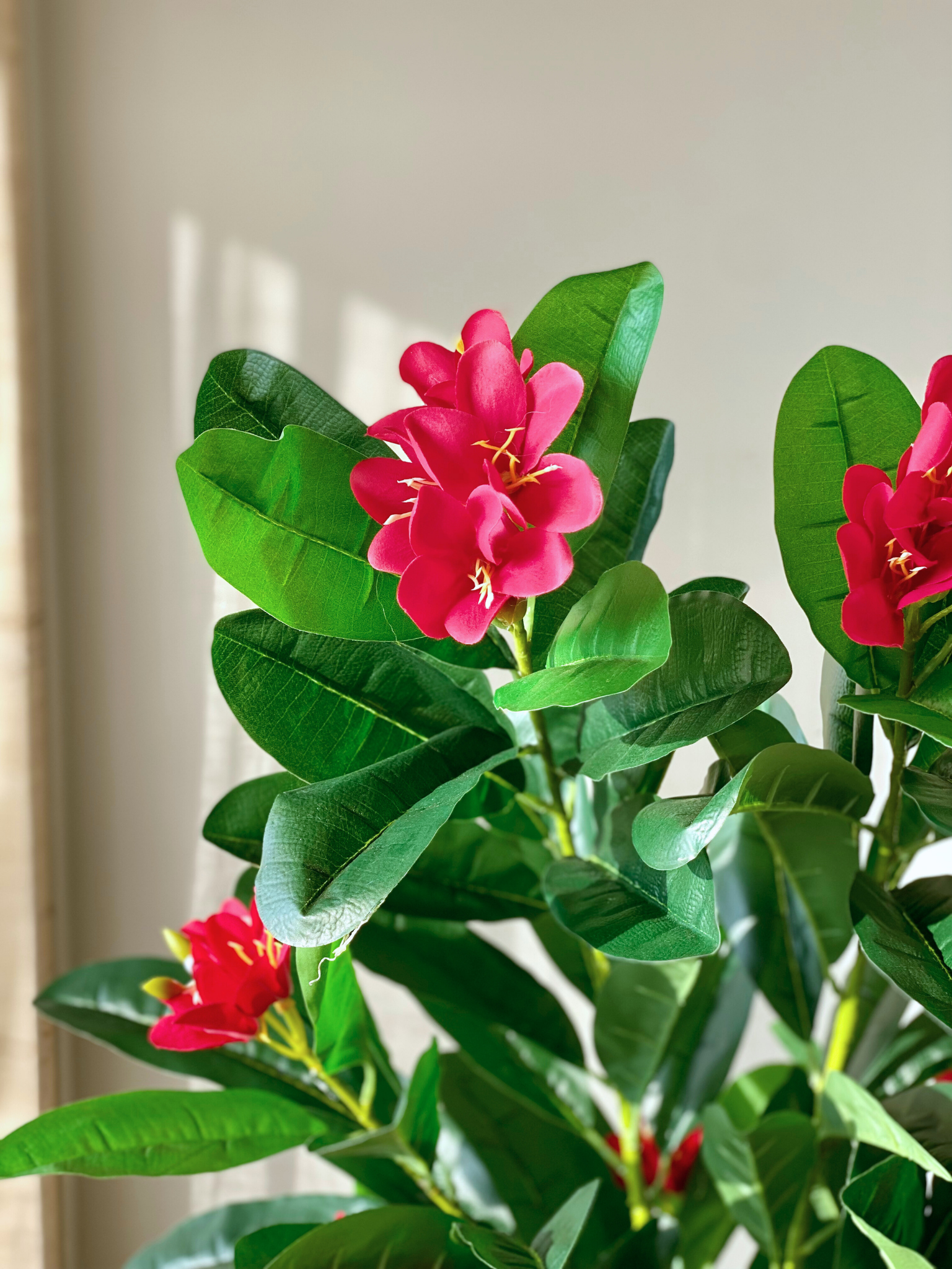 Artificial Ruby Frangipani Plant - 5 Feet