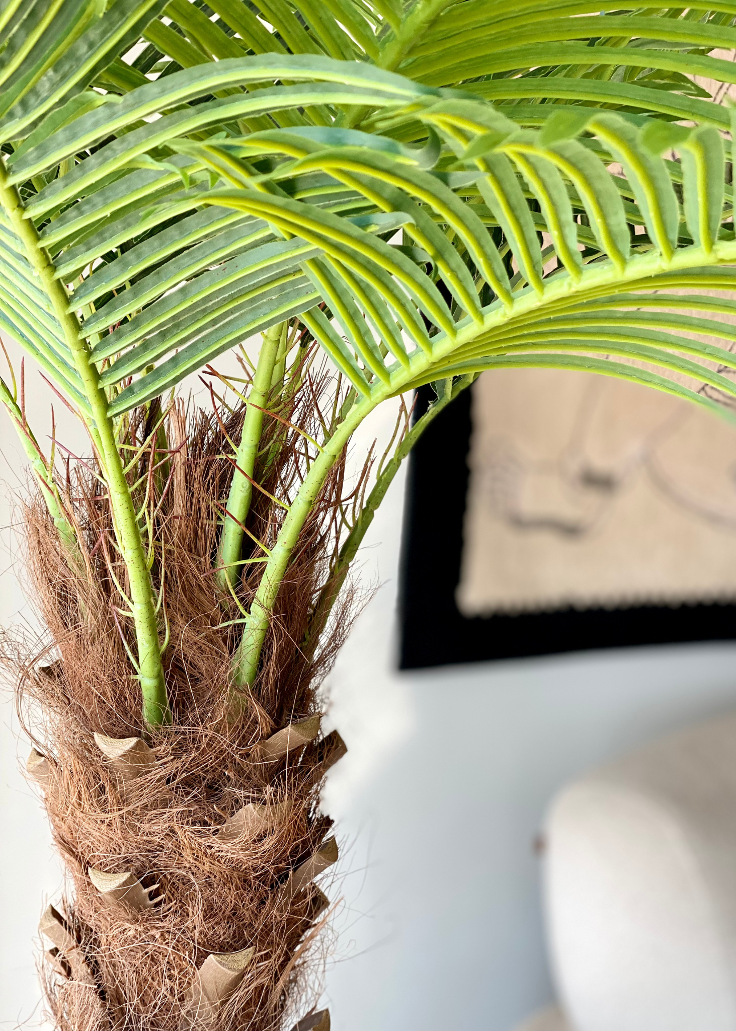 Artificial Phoenix Date Palm Tree - 6 Feet