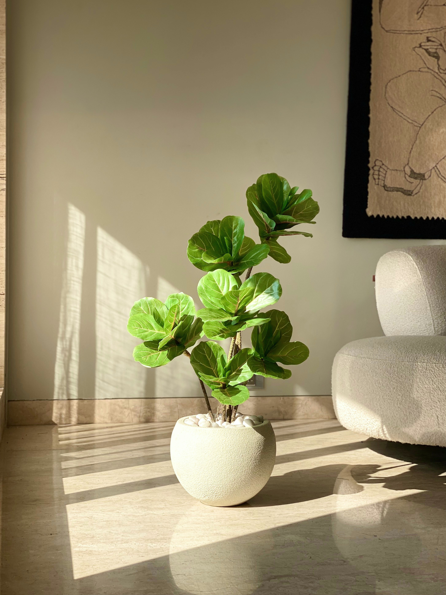 Artificial Fiddle Fig Plant - 3 Feet