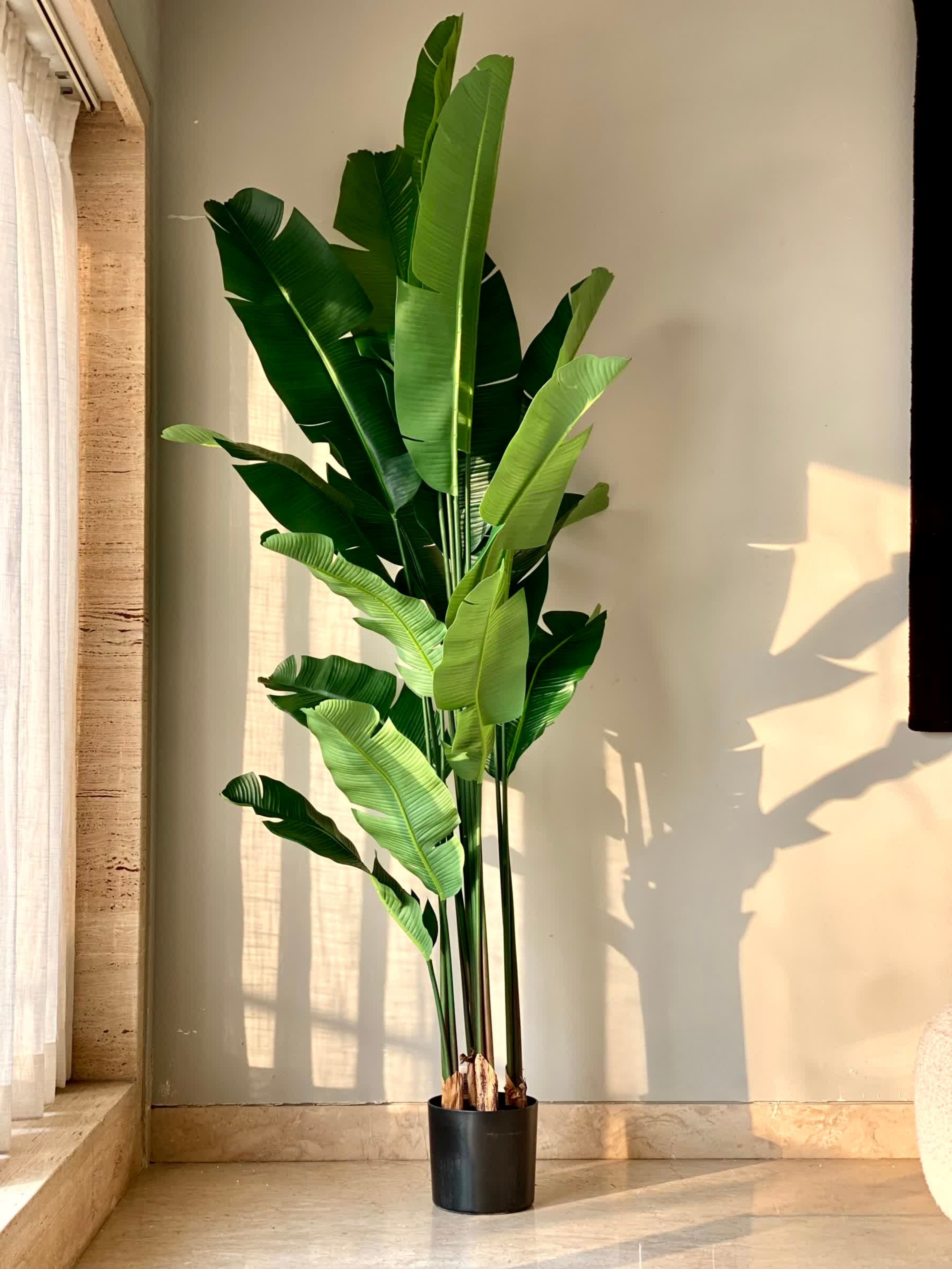 Artificial Coastal Palm Plant - 7 Feet