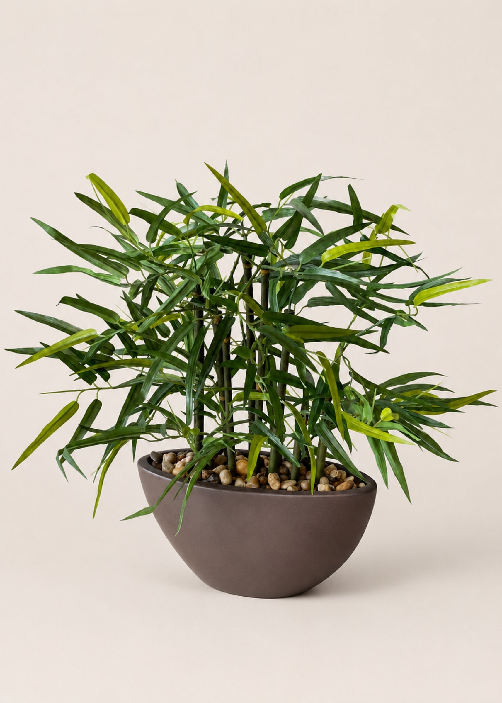 Artificial Rhipsalis Plant