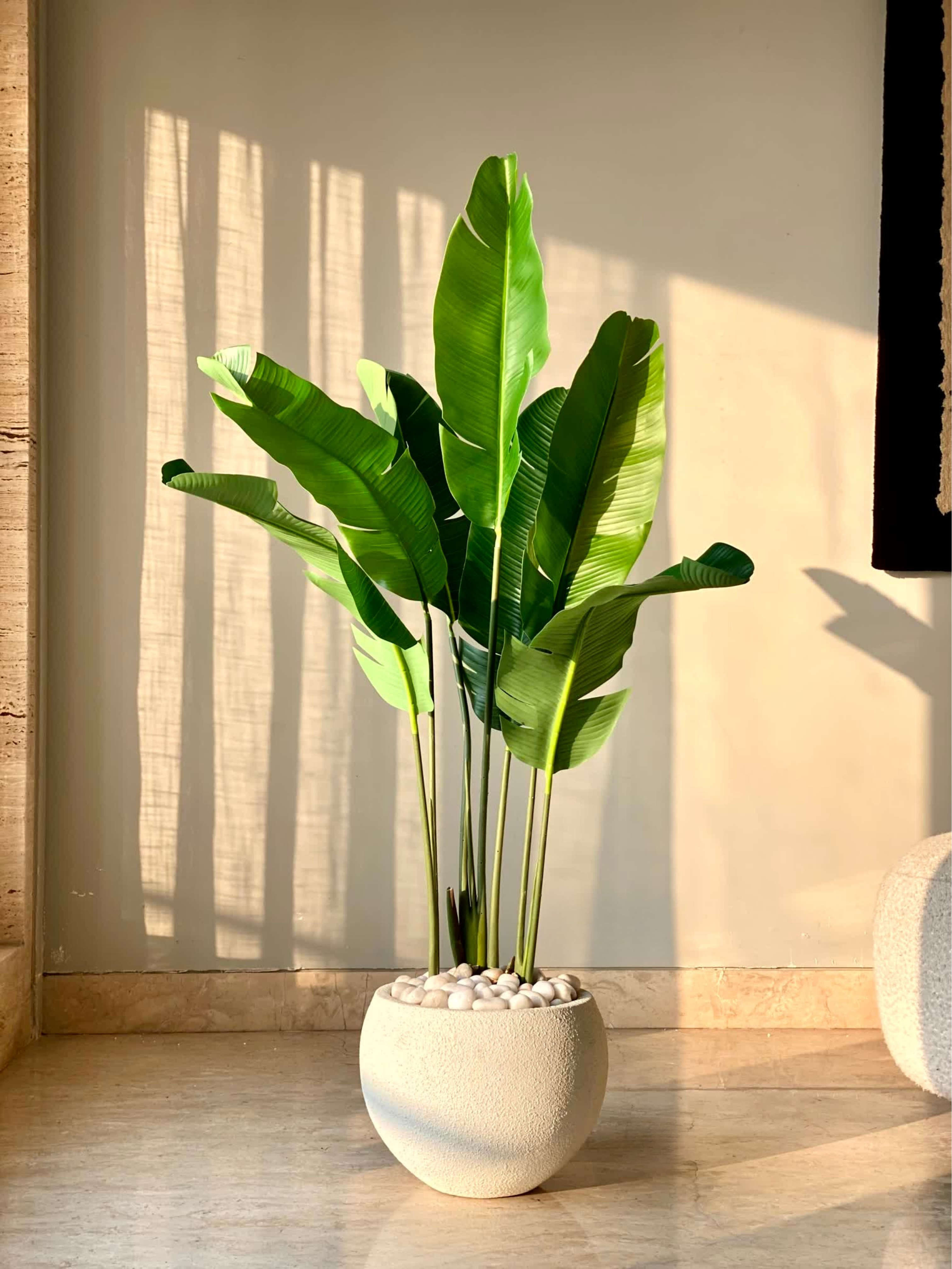 Artificial Coastal Palm Plant - 4 Feet