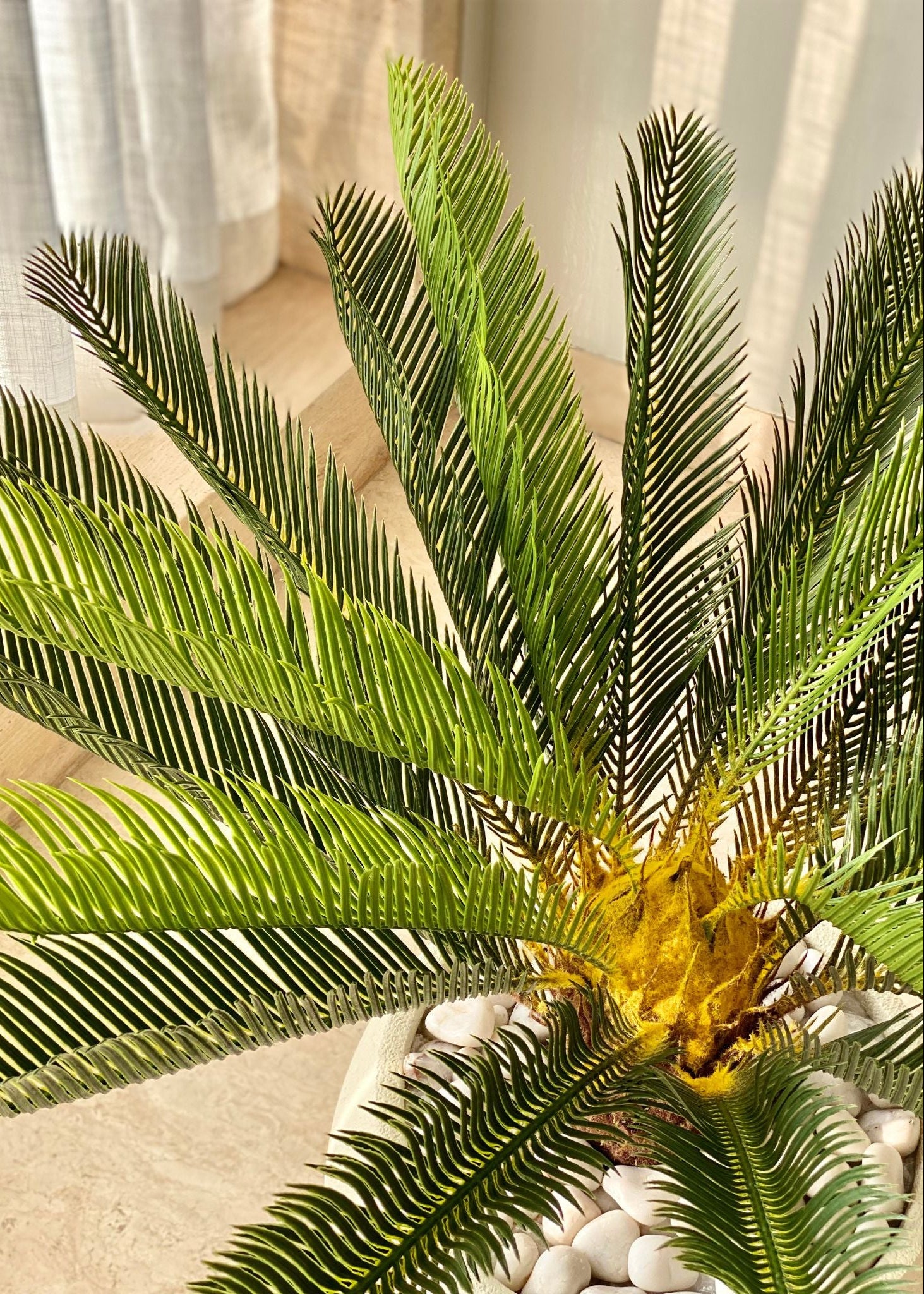Artificial Cycas Plant - 2.5 Feet
