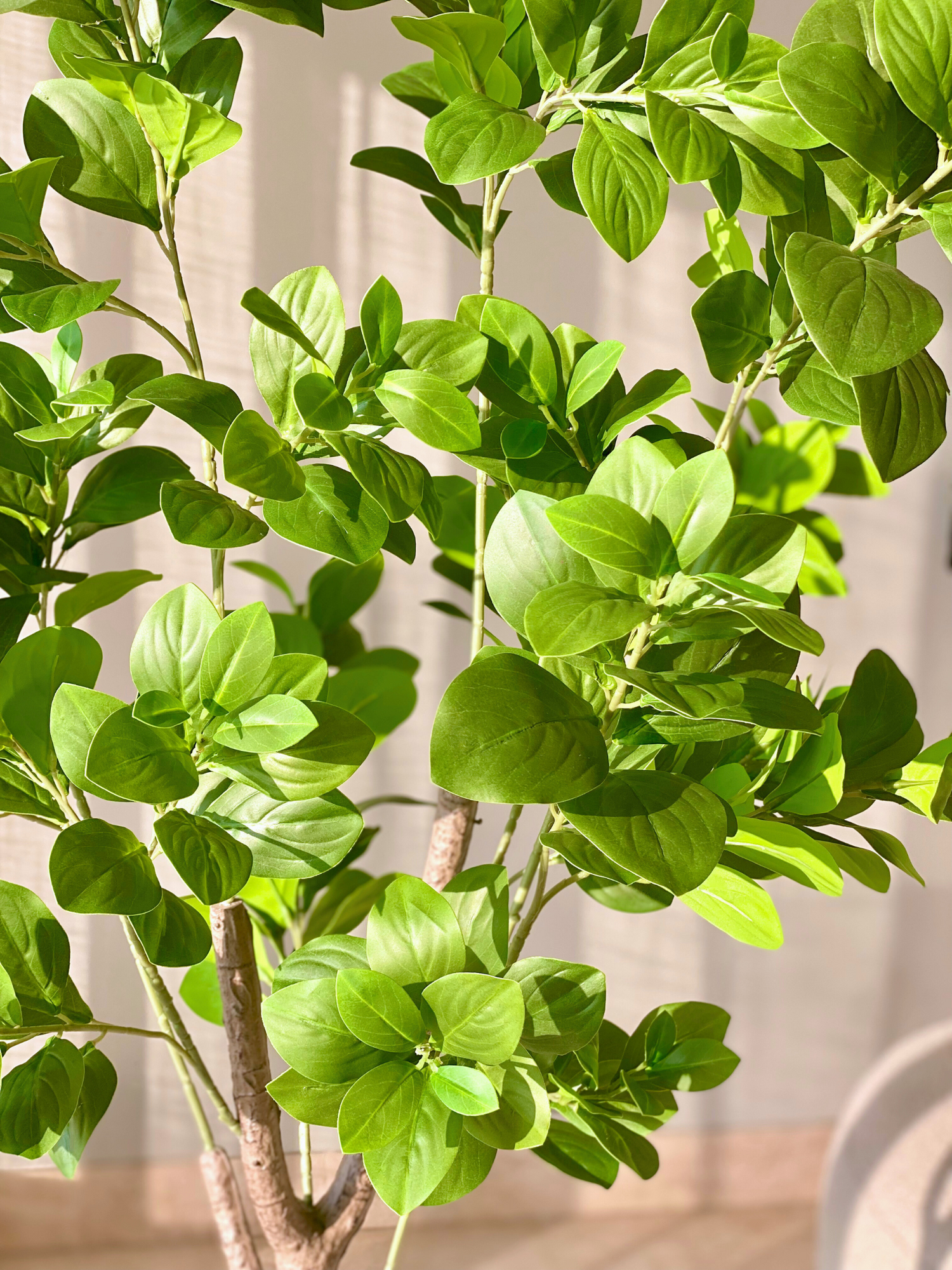 Artificial Dense Peperomia Plant - 5 Feet