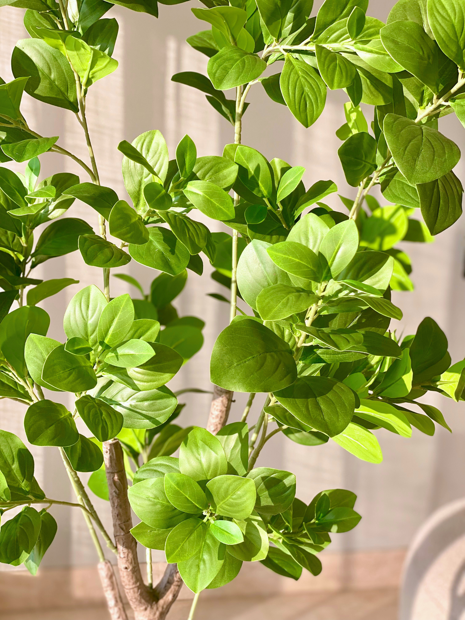 Artificial Dense Peperomia Plant - 5 Feet