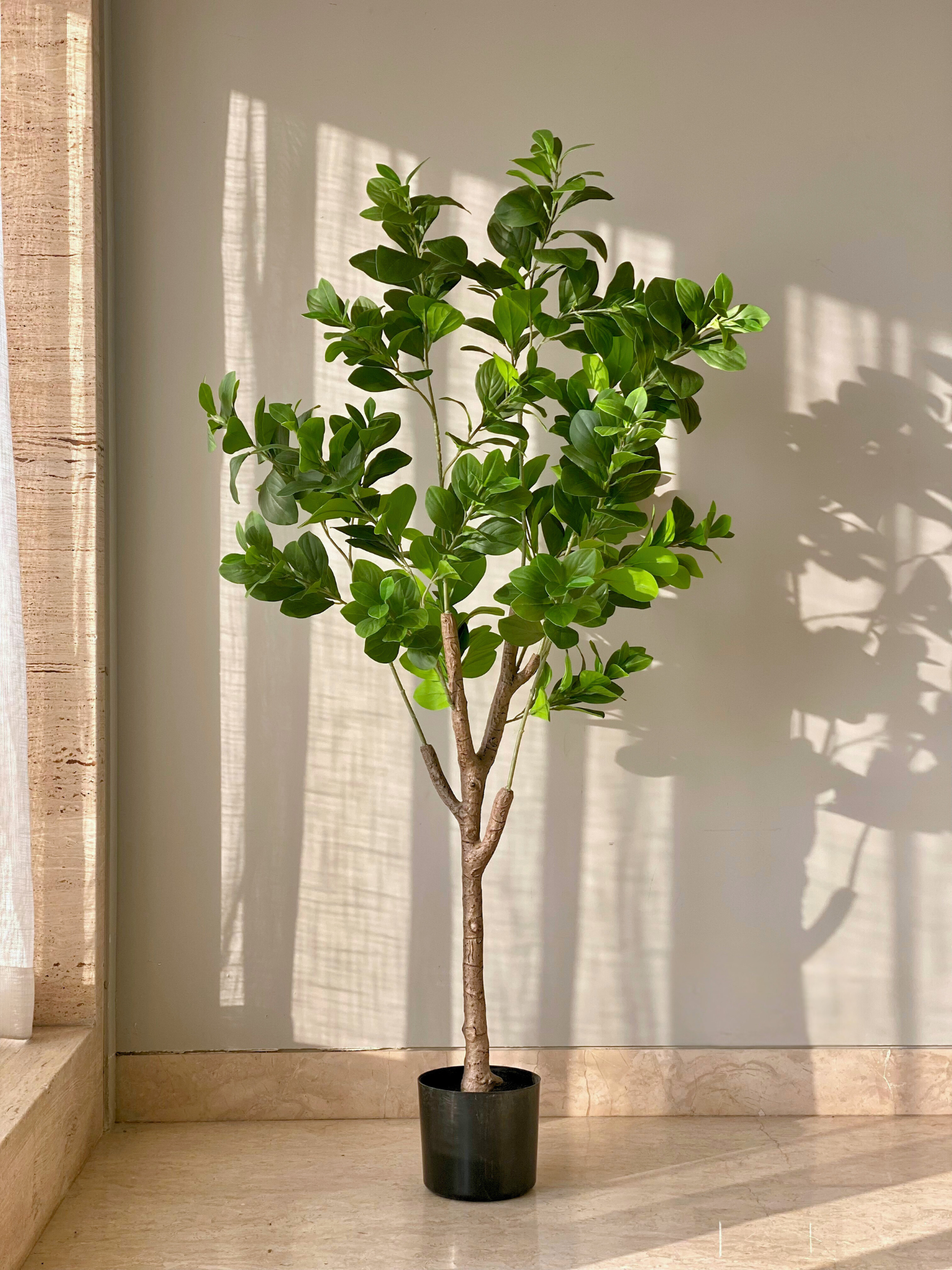 Artificial Dense Peperomia Plant - 5 Feet