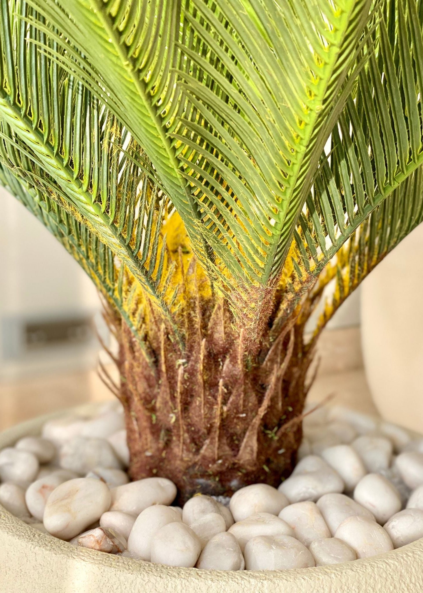 Artificial Cycas Plant - 2.5 Feet