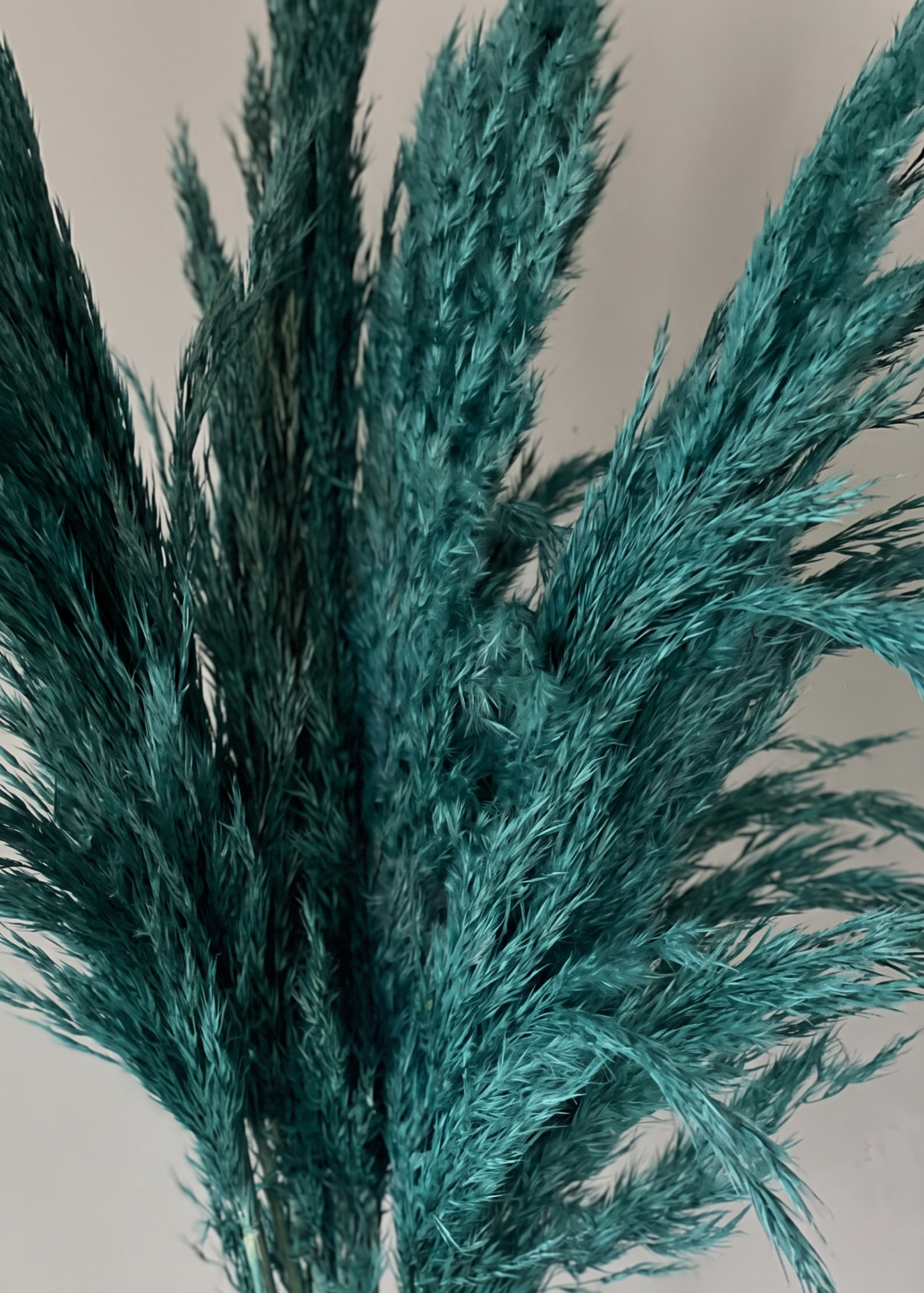 Artificial Feather Pampas Bunch - Teal