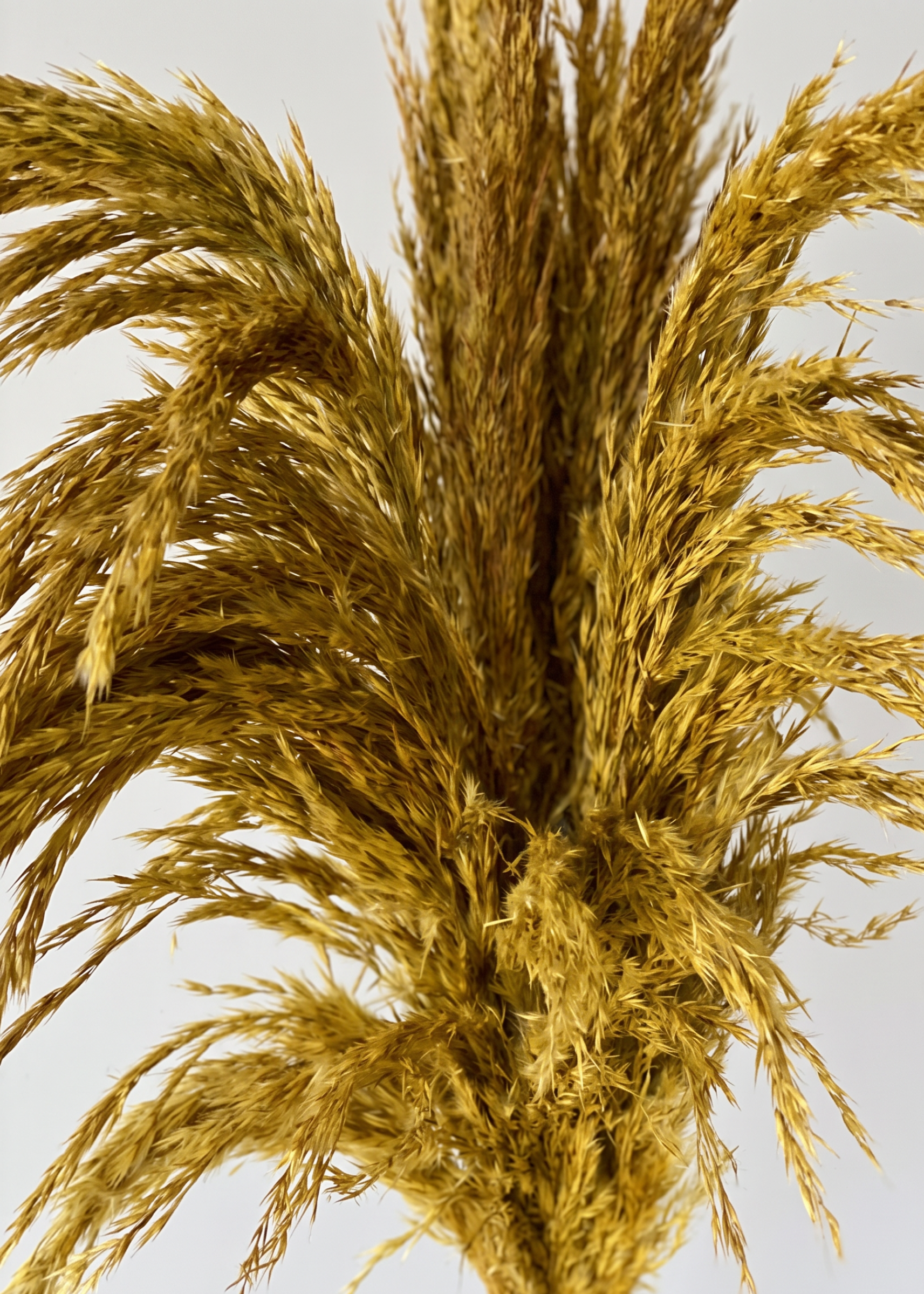 Artificial Feather Pampas Bunch - Yellow