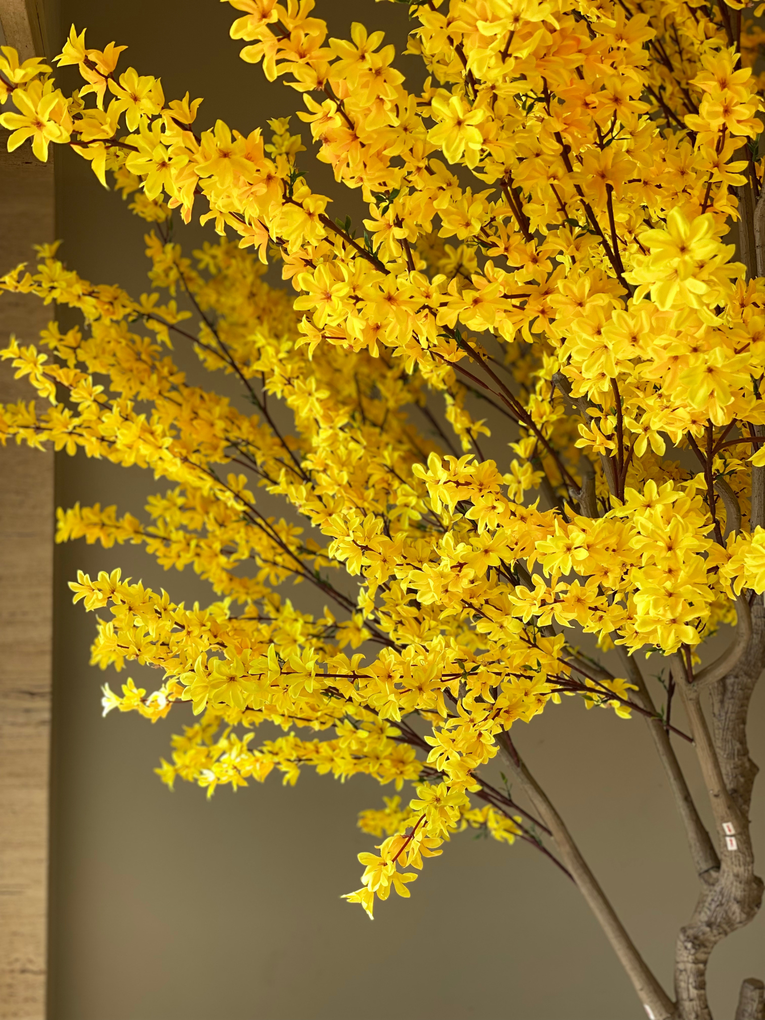 Artificial Spring Jasmine Plant- 8 Feet