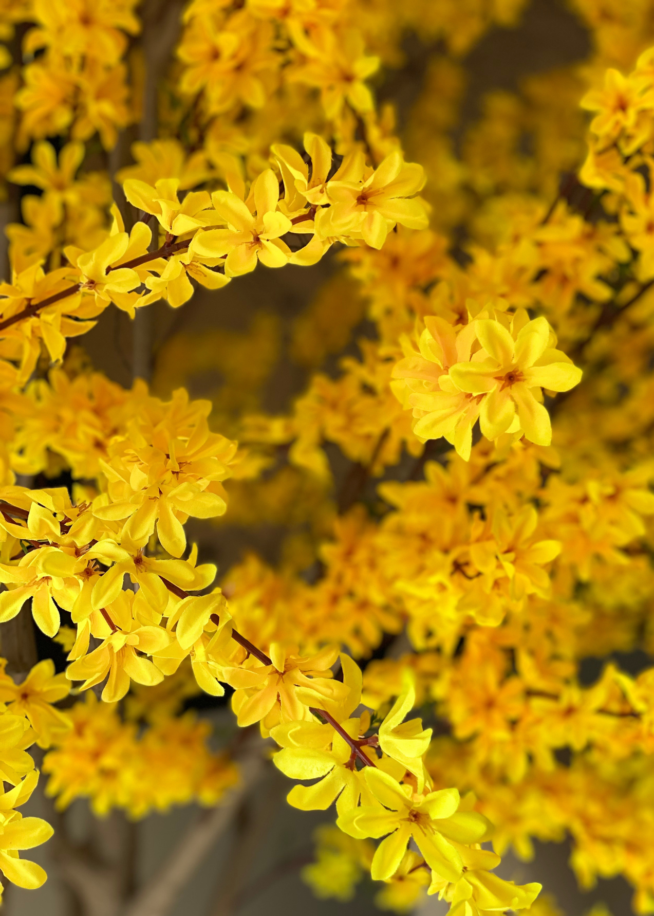 Artificial Spring Jasmine Plant- 8 Feet