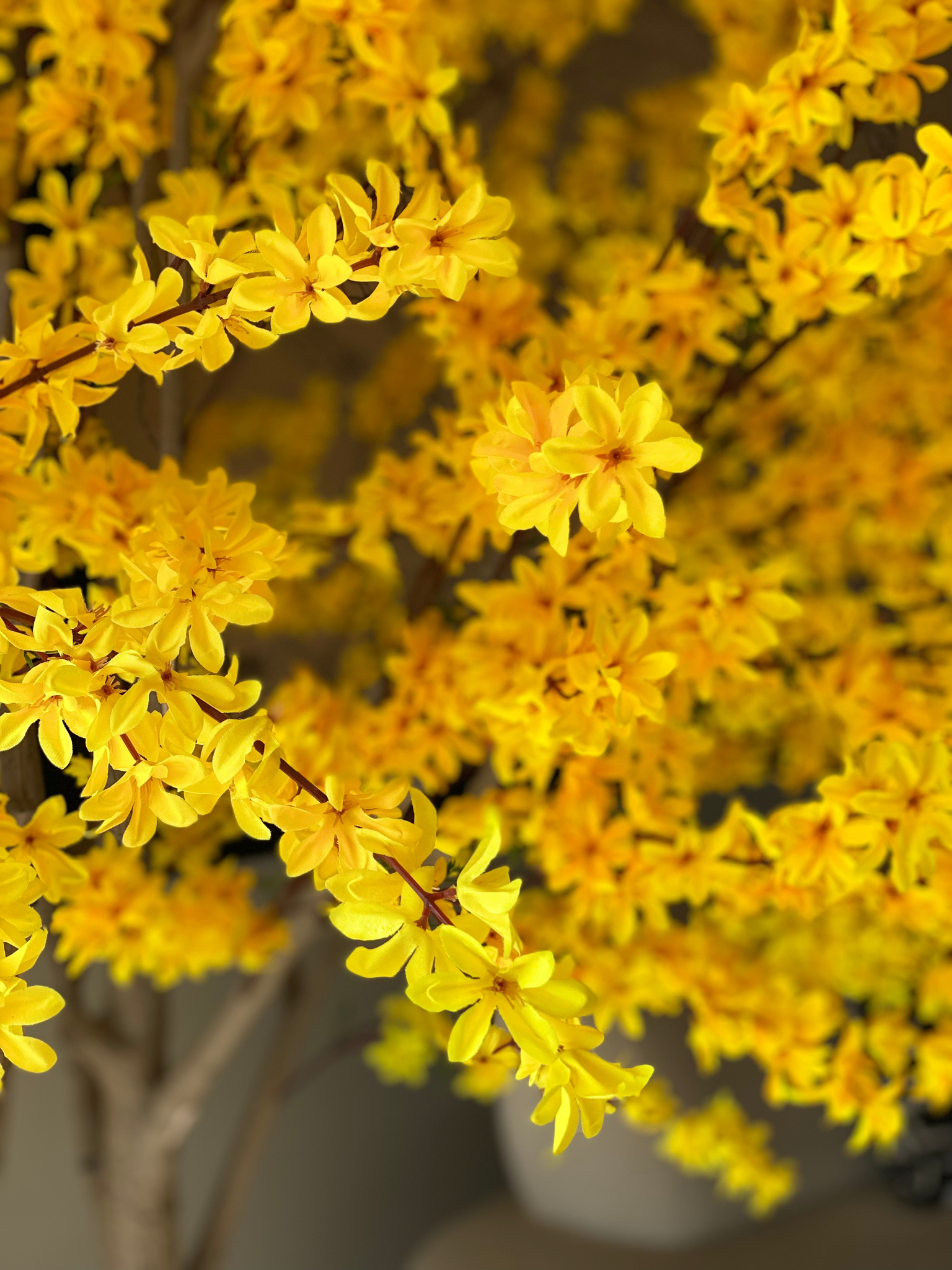 Artificial Spring Jasmine Plant- 8 Feet