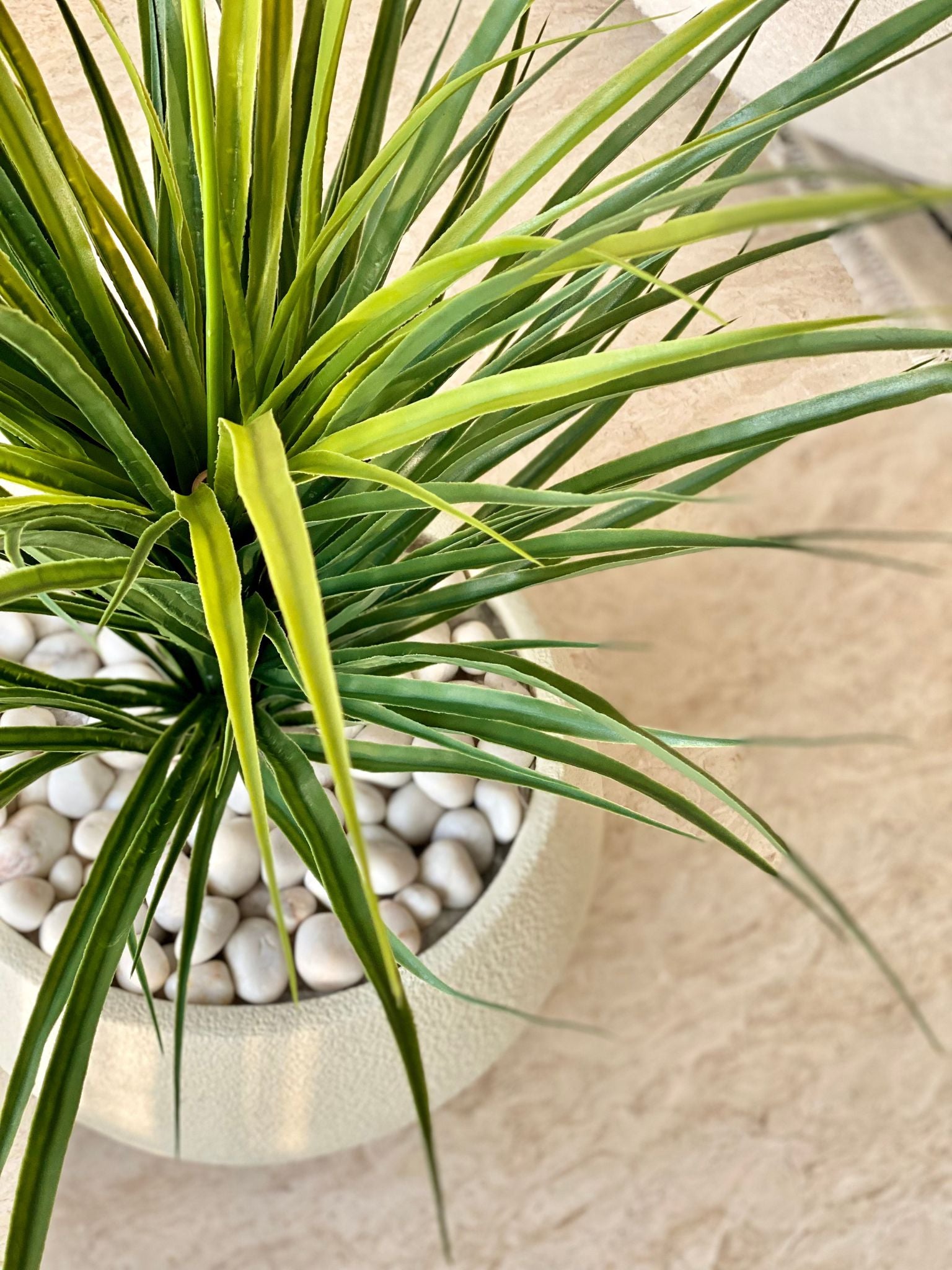 Artificial Dragon Plant - 3 Feet