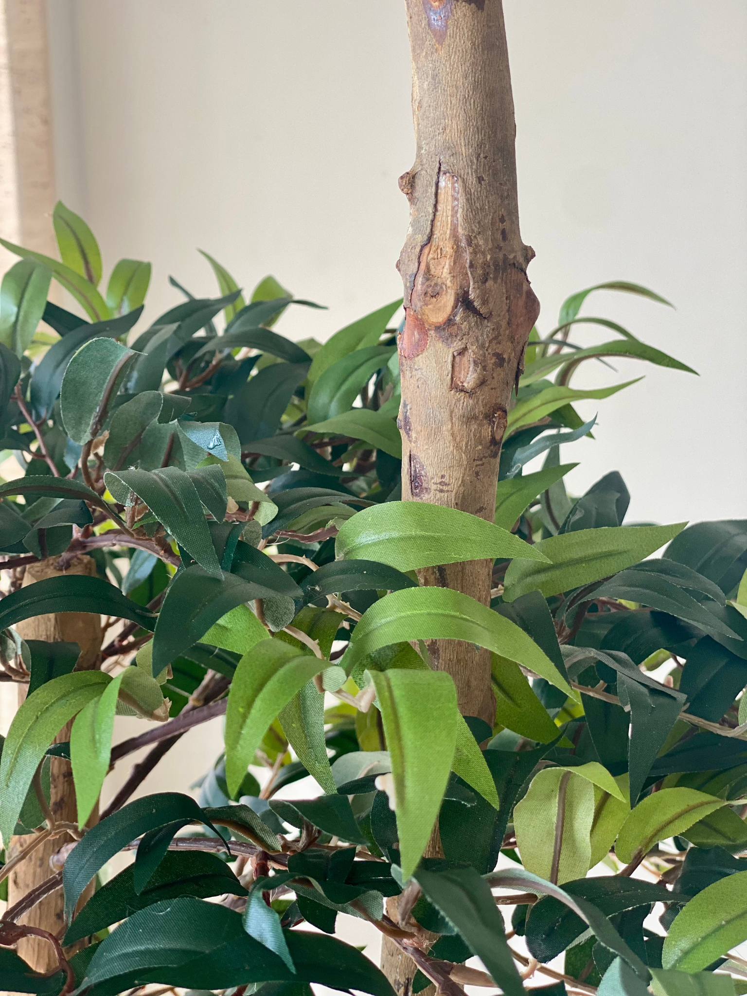 Artificial Ruscus Lush Plant - 6 Feet