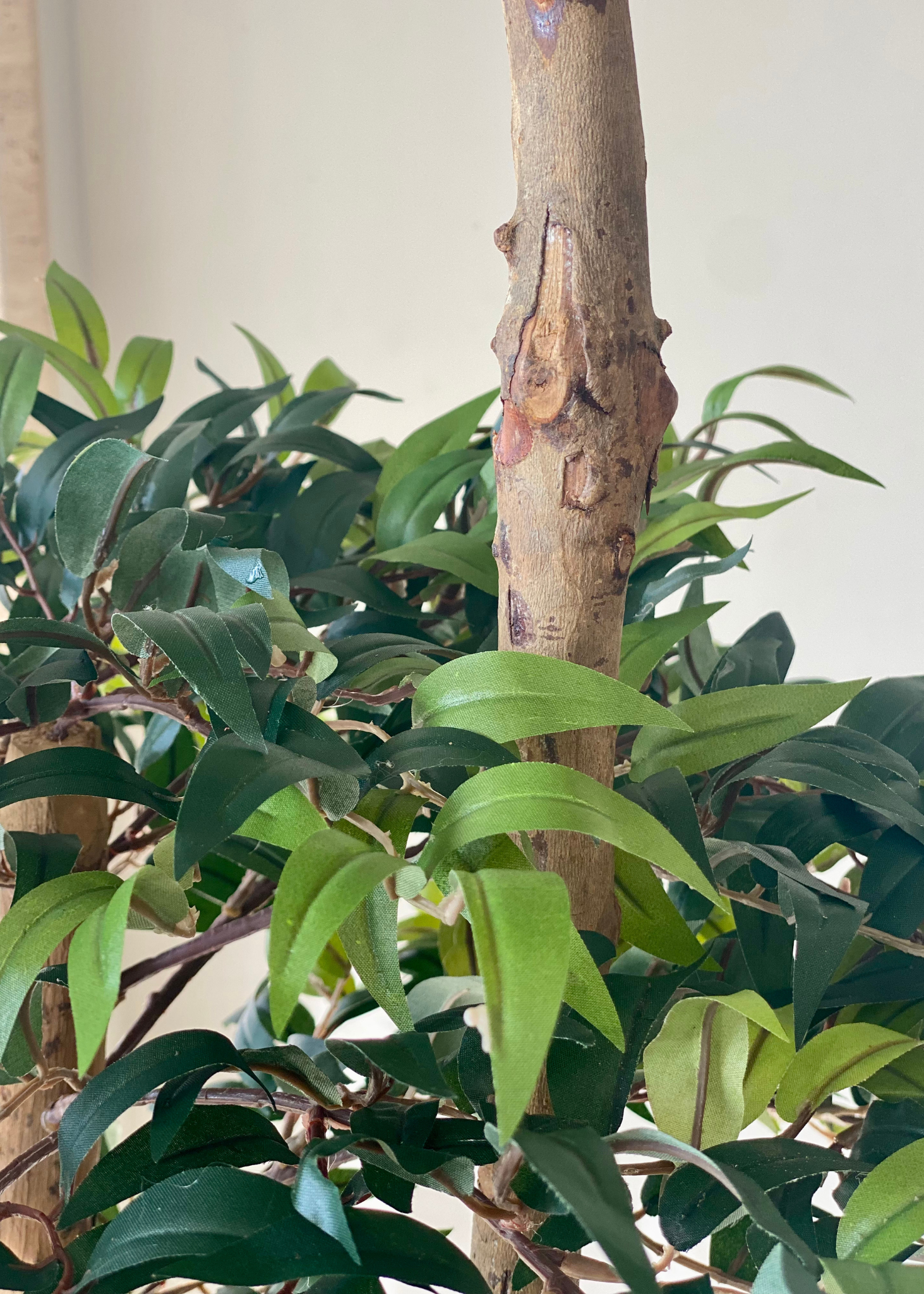 Artificial Ruscus Lush Plant - 6 Feet