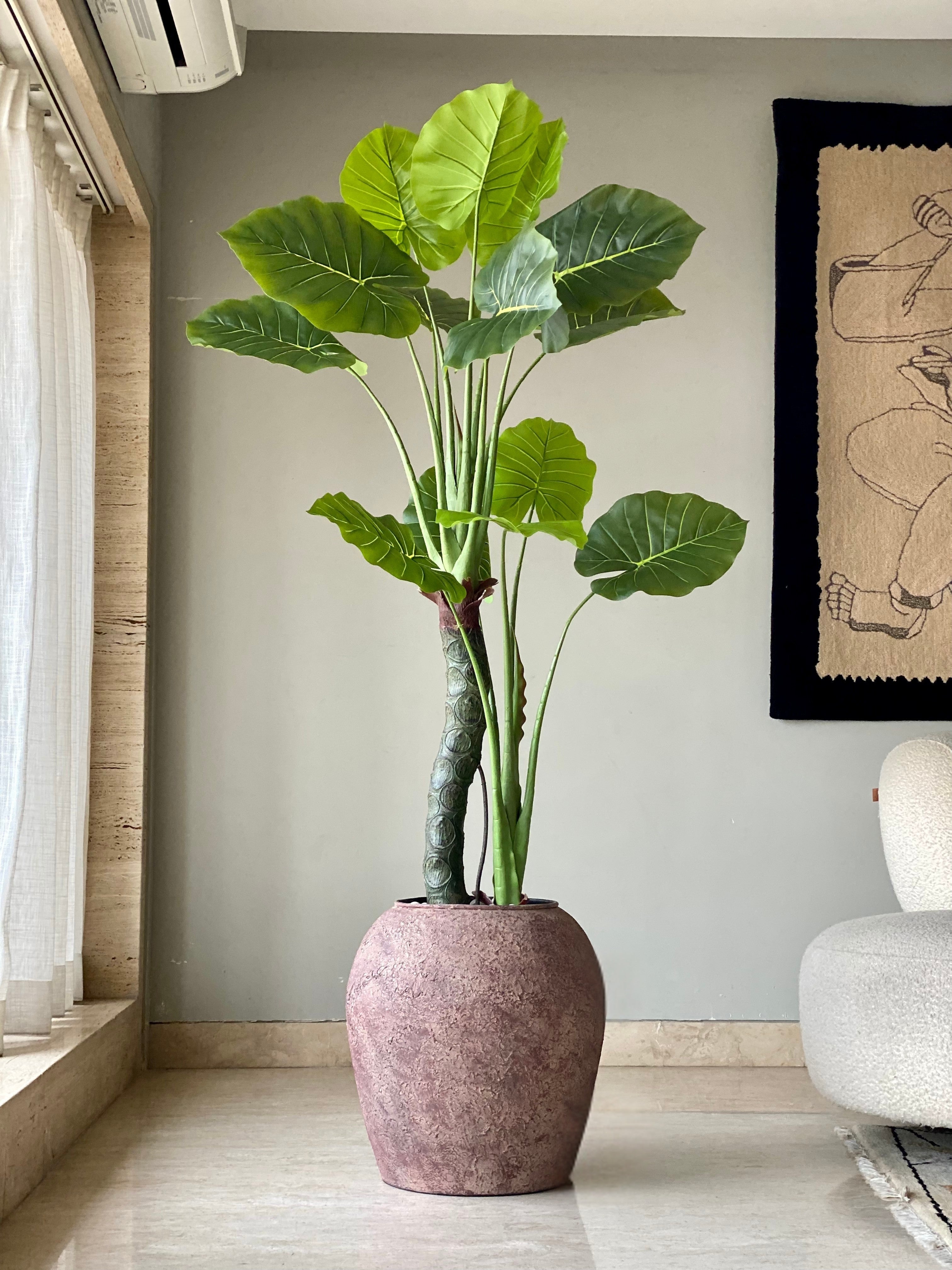 Artificial Evergreen Alocasia Plant - 5 Feet
