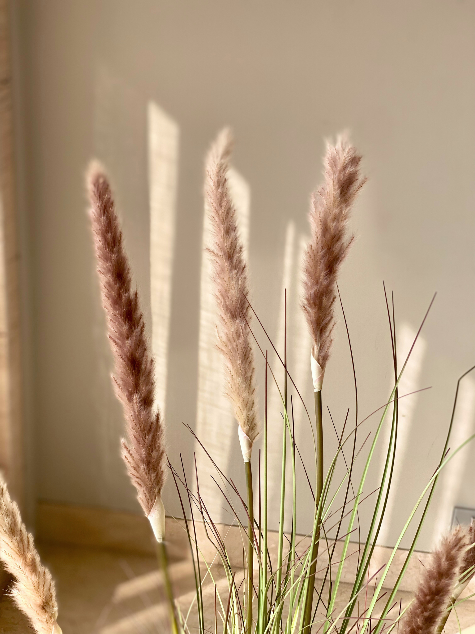 Artificial Pampas Grass Plant - 4 Feet