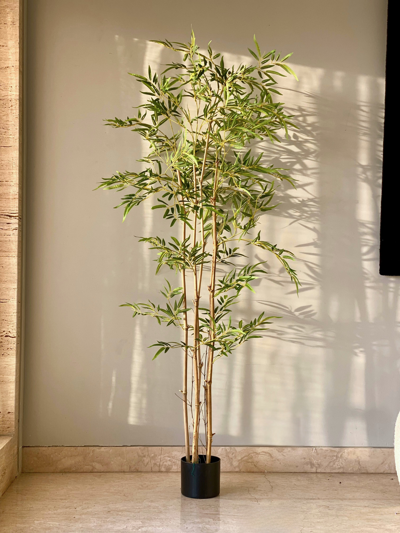 Artificial Campbell Bamboo Plant - 6 Feet