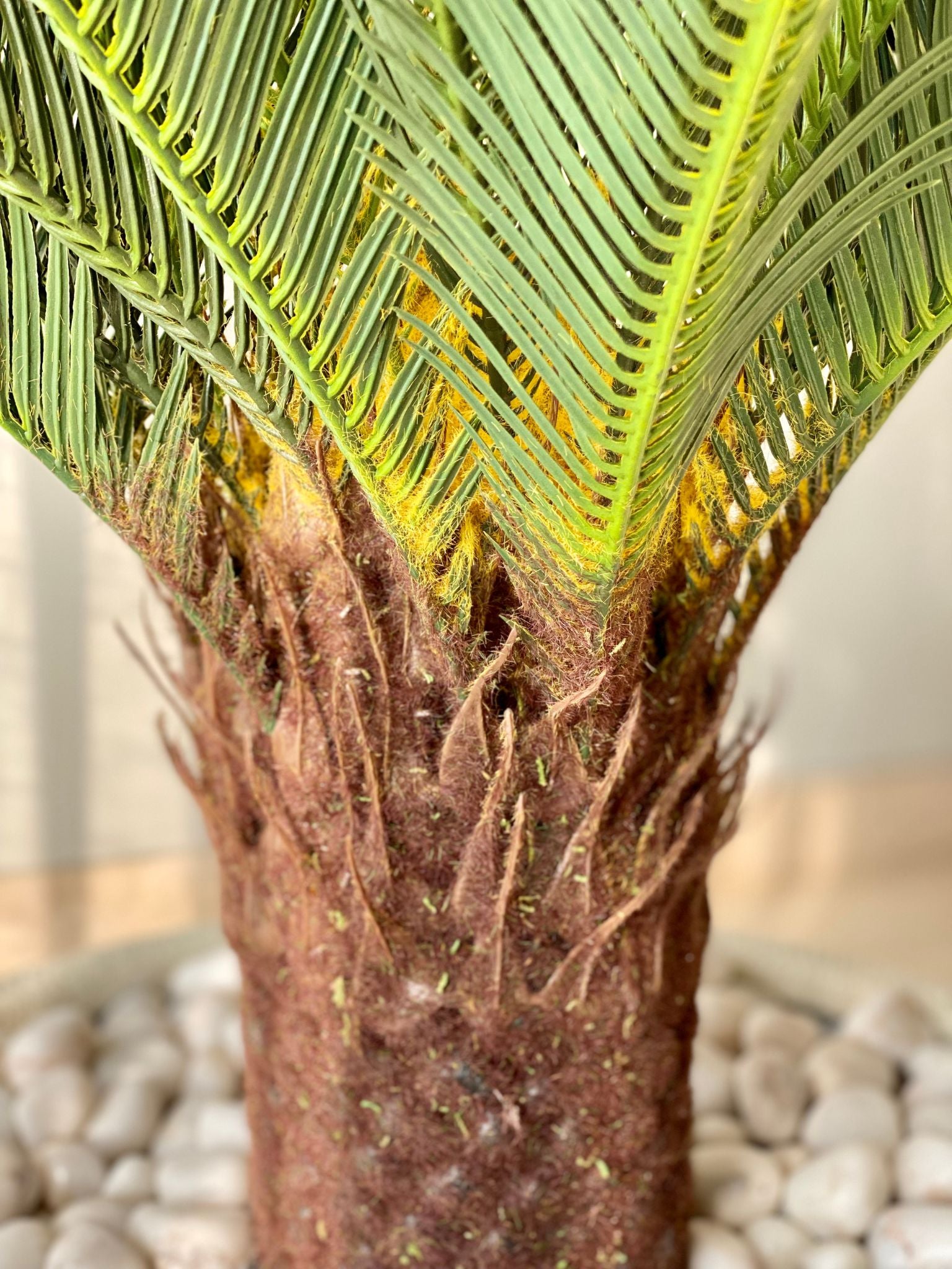Artificial Cycas Plant - 3.5 Feet