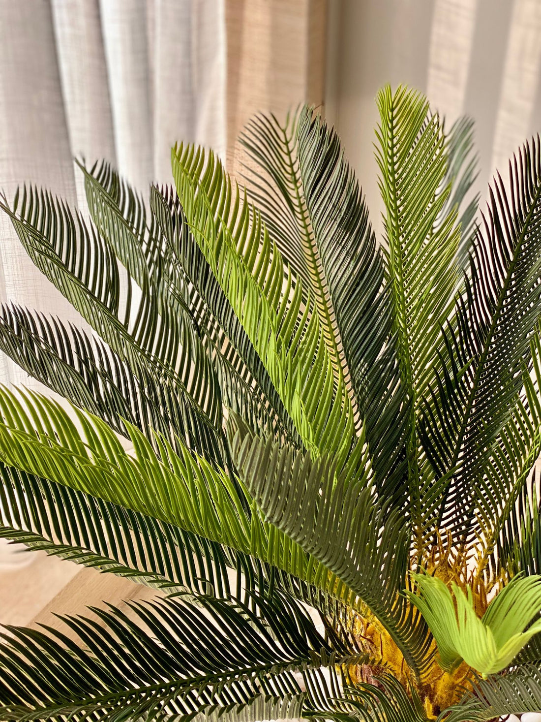 Artificial Cycas Plant - 3.5 Feet