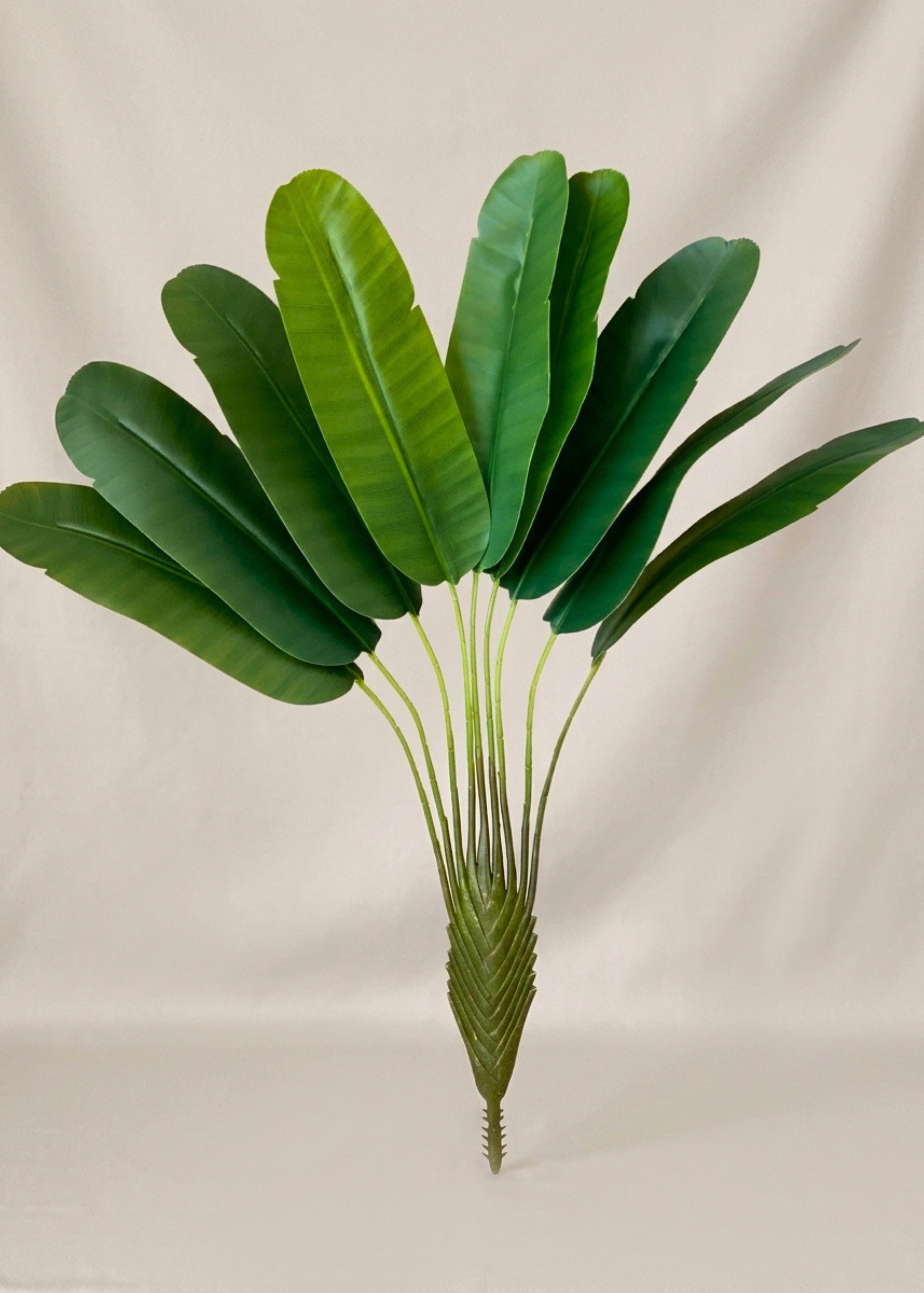 Artificial Slim Travellers Plant - 2 Feet