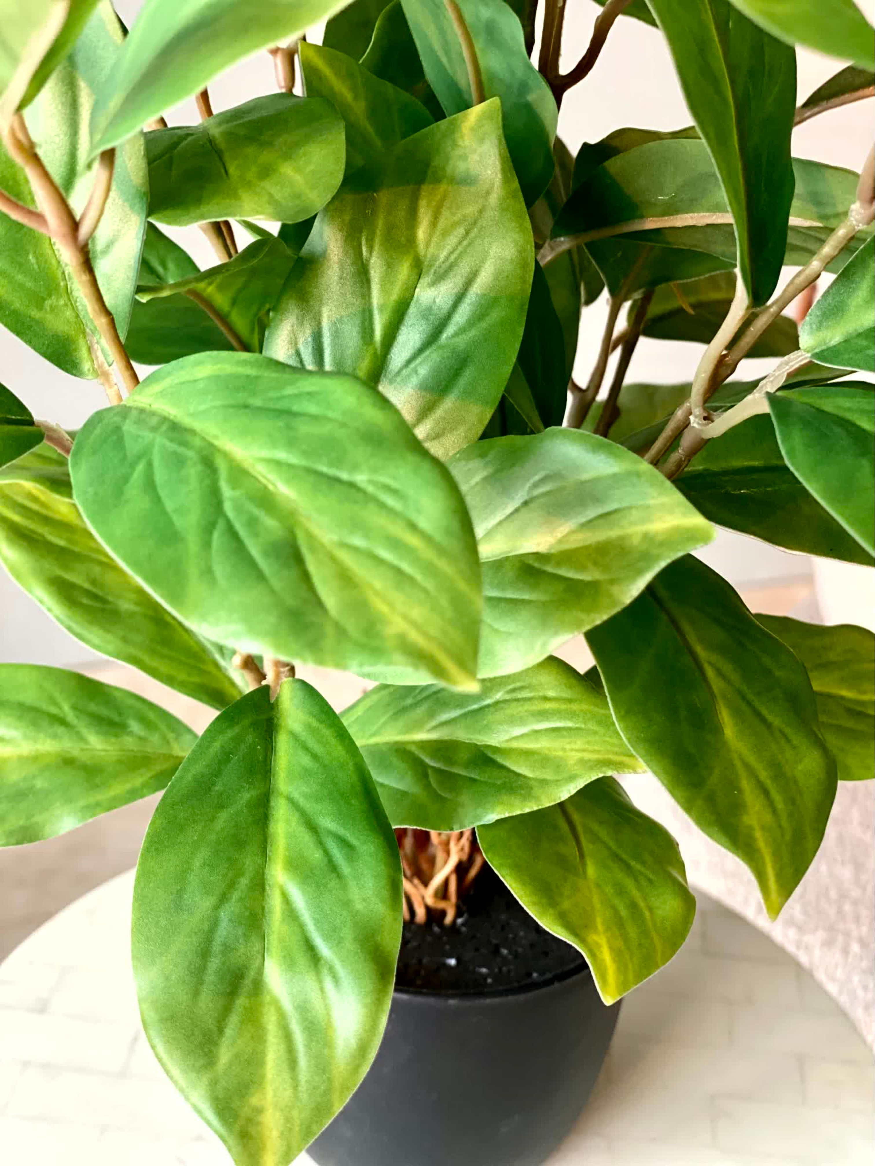 Artificial Jade Evergreen Plant