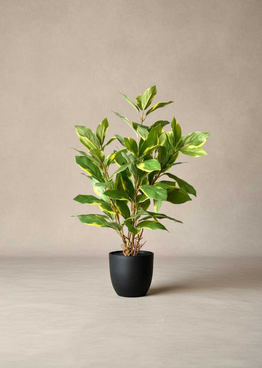 Artificial Evergreen Plant - Variegated