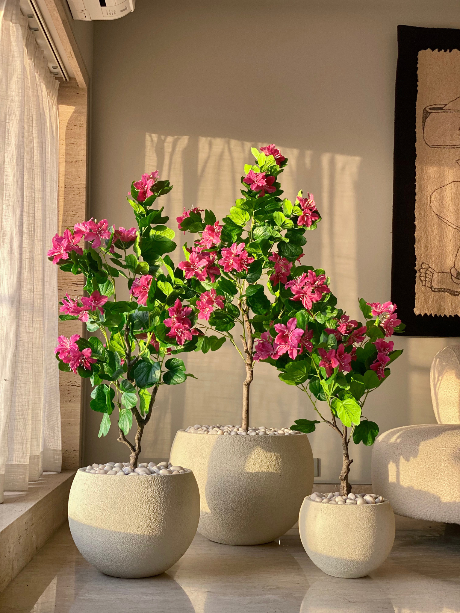 Artificial Blush Bauhinia Plant - 4 Feet