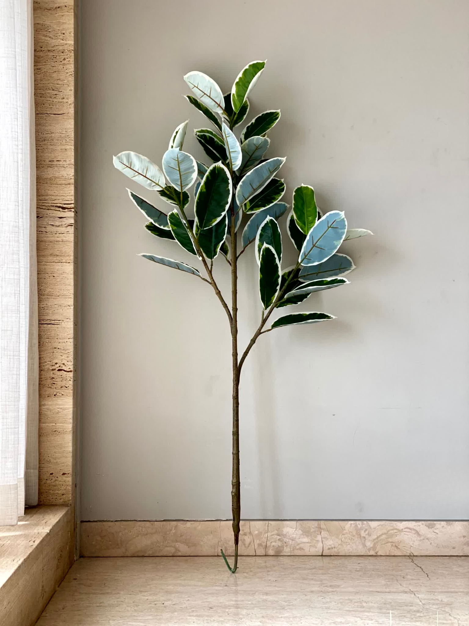 Artificial Variegated Rubber Plant - 5 Feet