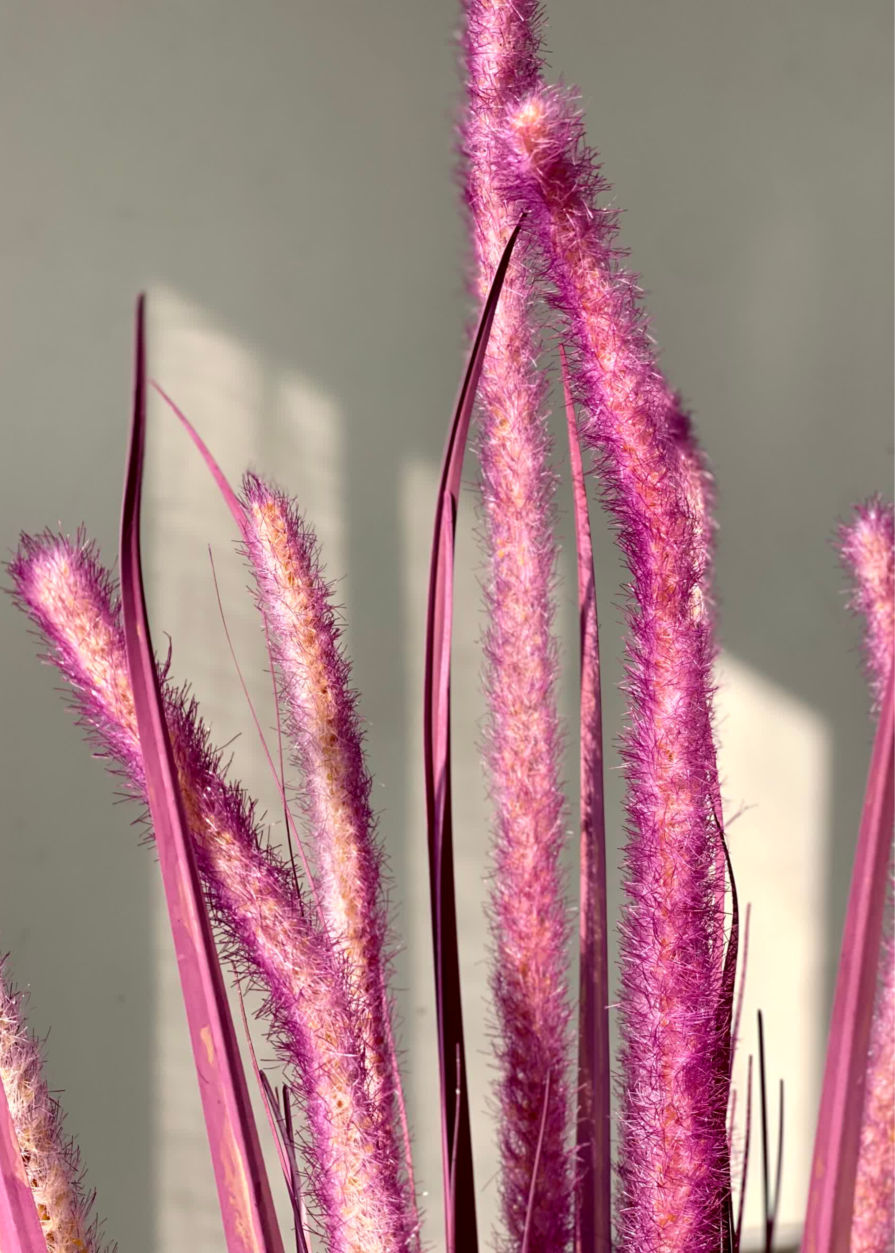Artificial Purple Silk Grass Bunch - 3 Feet