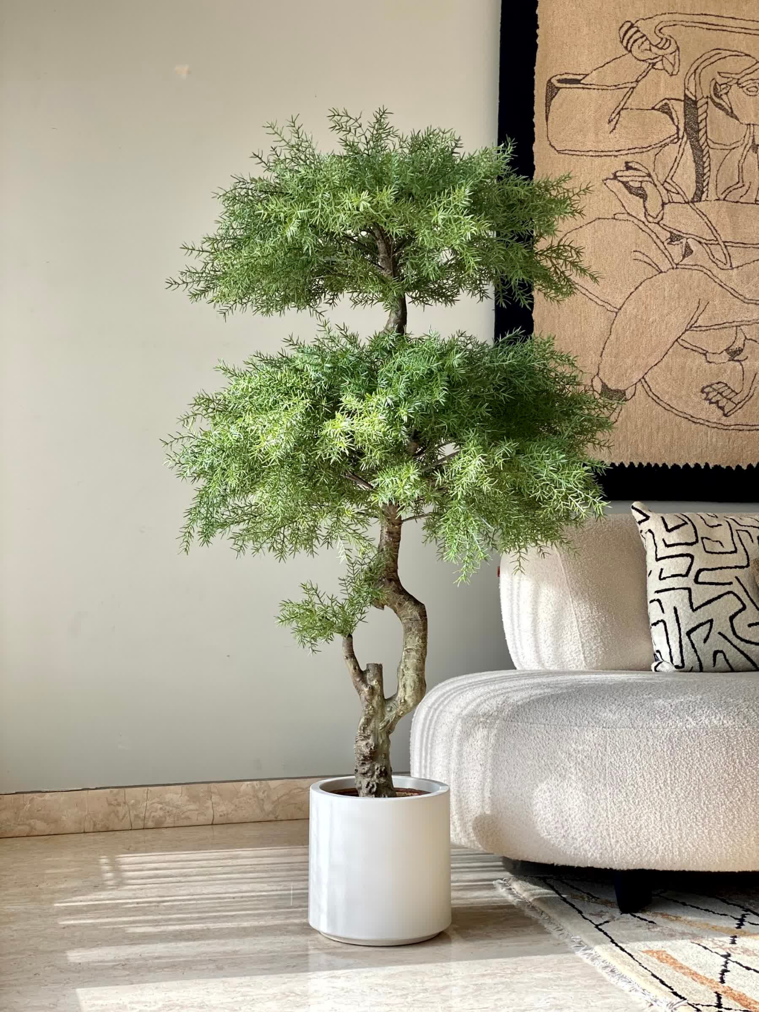 Artificial Australian Cedar Bonsai Plant - 5.5 Feet
