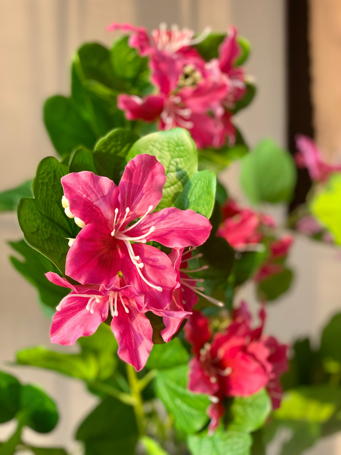 Artificial Blush Bauhinia Plant - 3 Feet