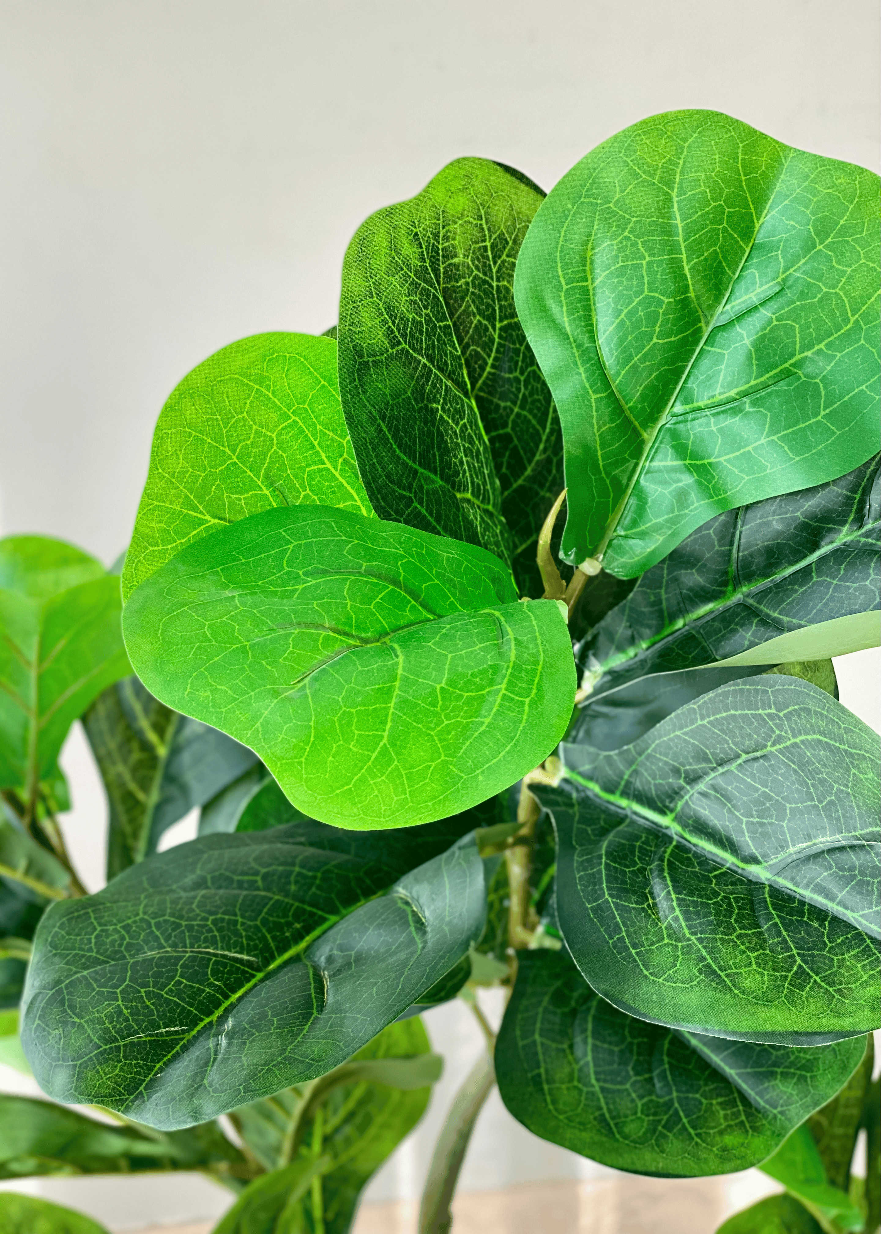 Artificial Serene Fiddle Plant - 4 Feet