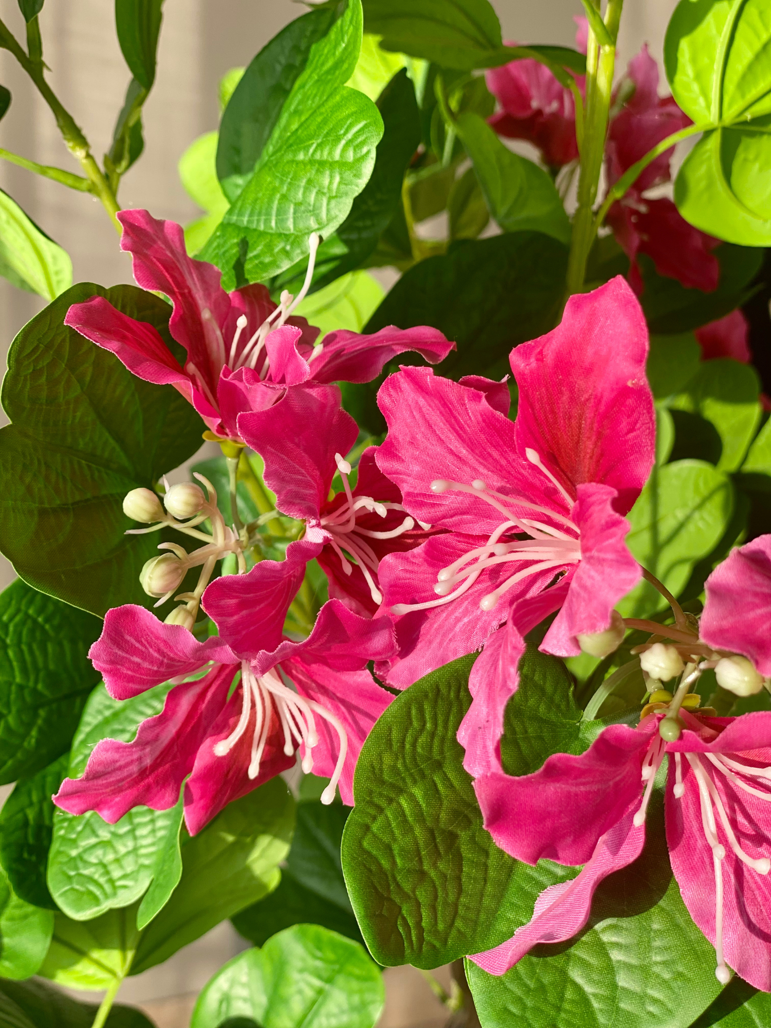 Artificial Blush Bauhinia Plant - 4 Feet