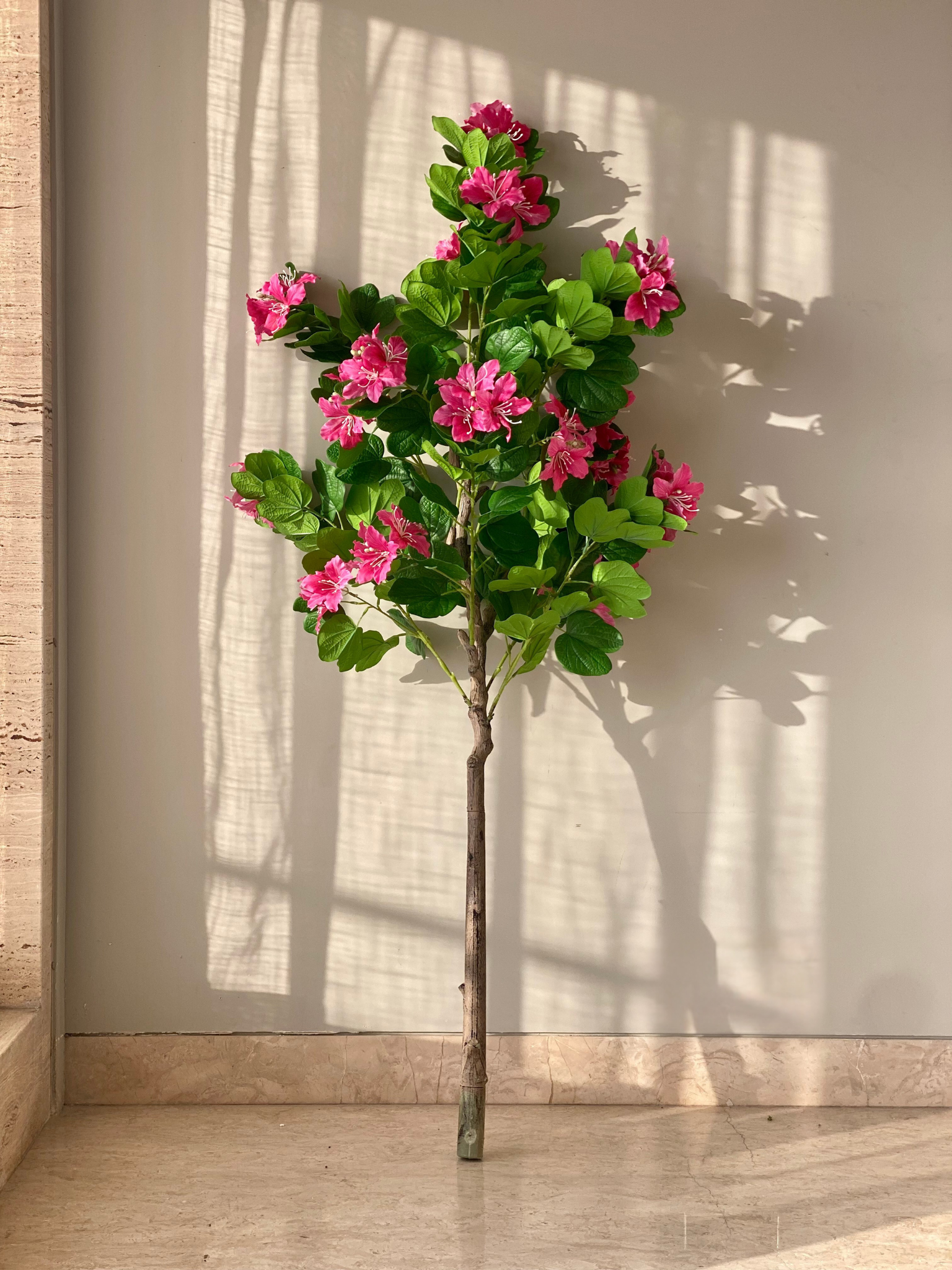 Artificial Blush Bauhinia Plant - 5 Feet