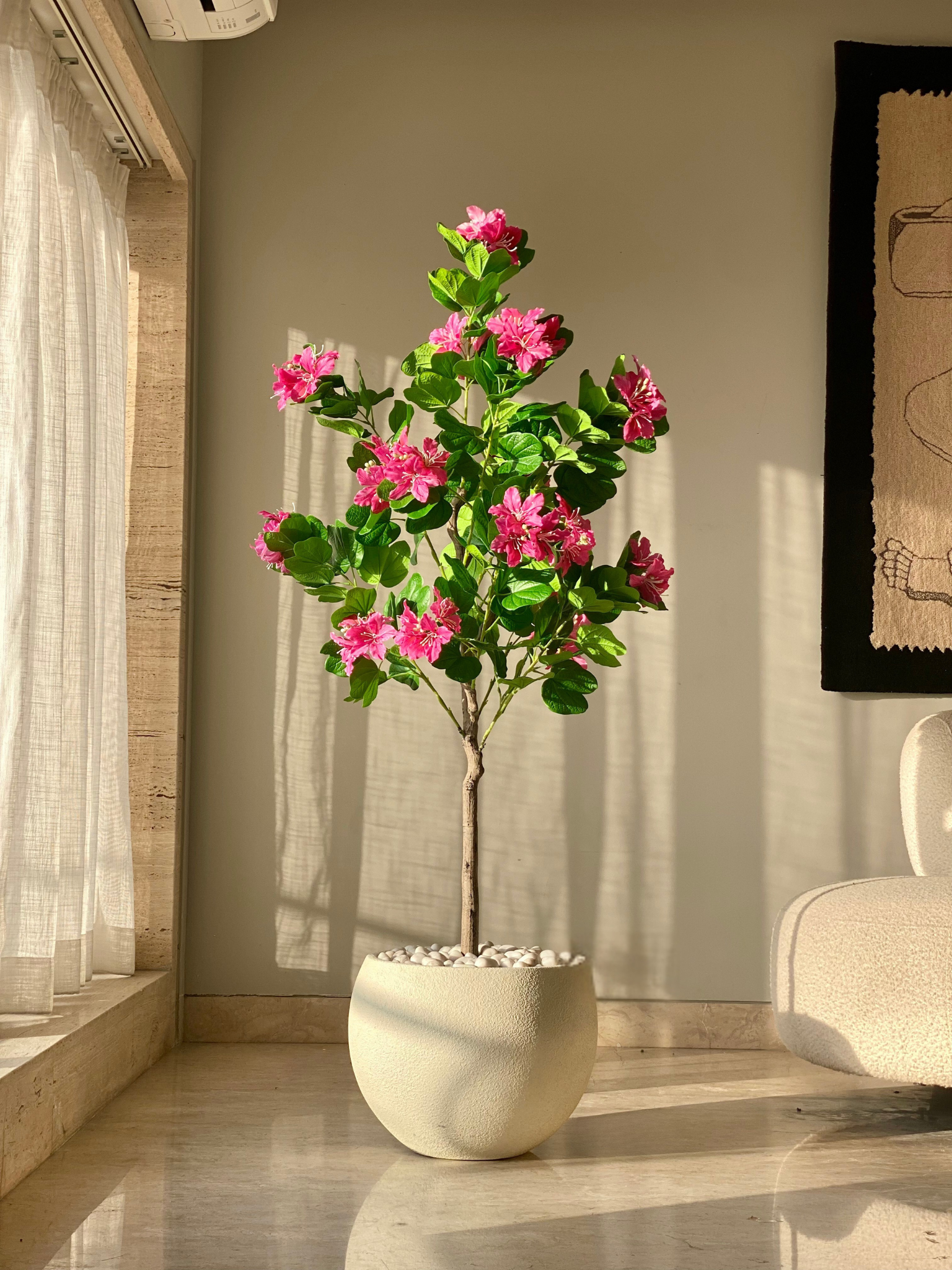 Artificial Blush Bauhinia Plant - 5 Feet