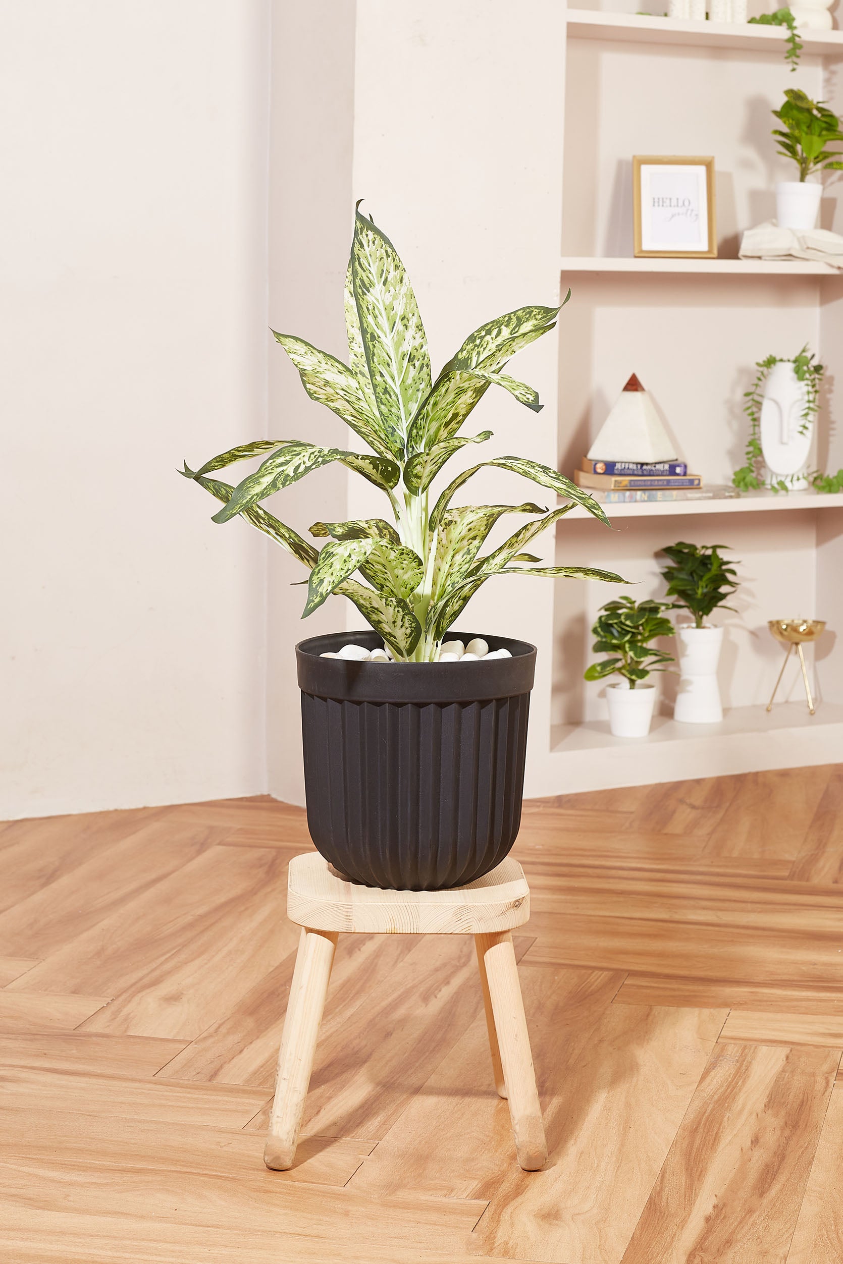 Ruffle Planter Medium - Black