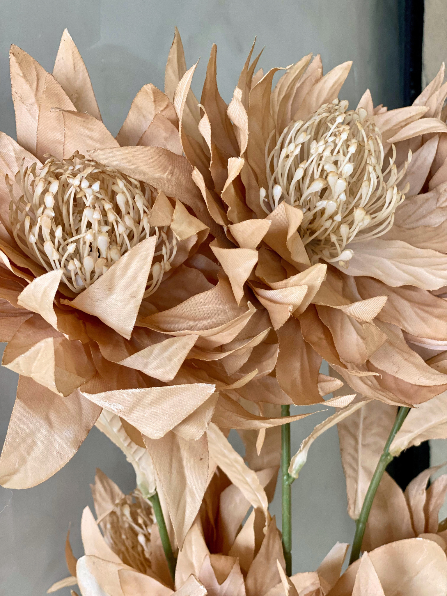 Artificial Portea Flower Stem - (One Stem) Light Brown