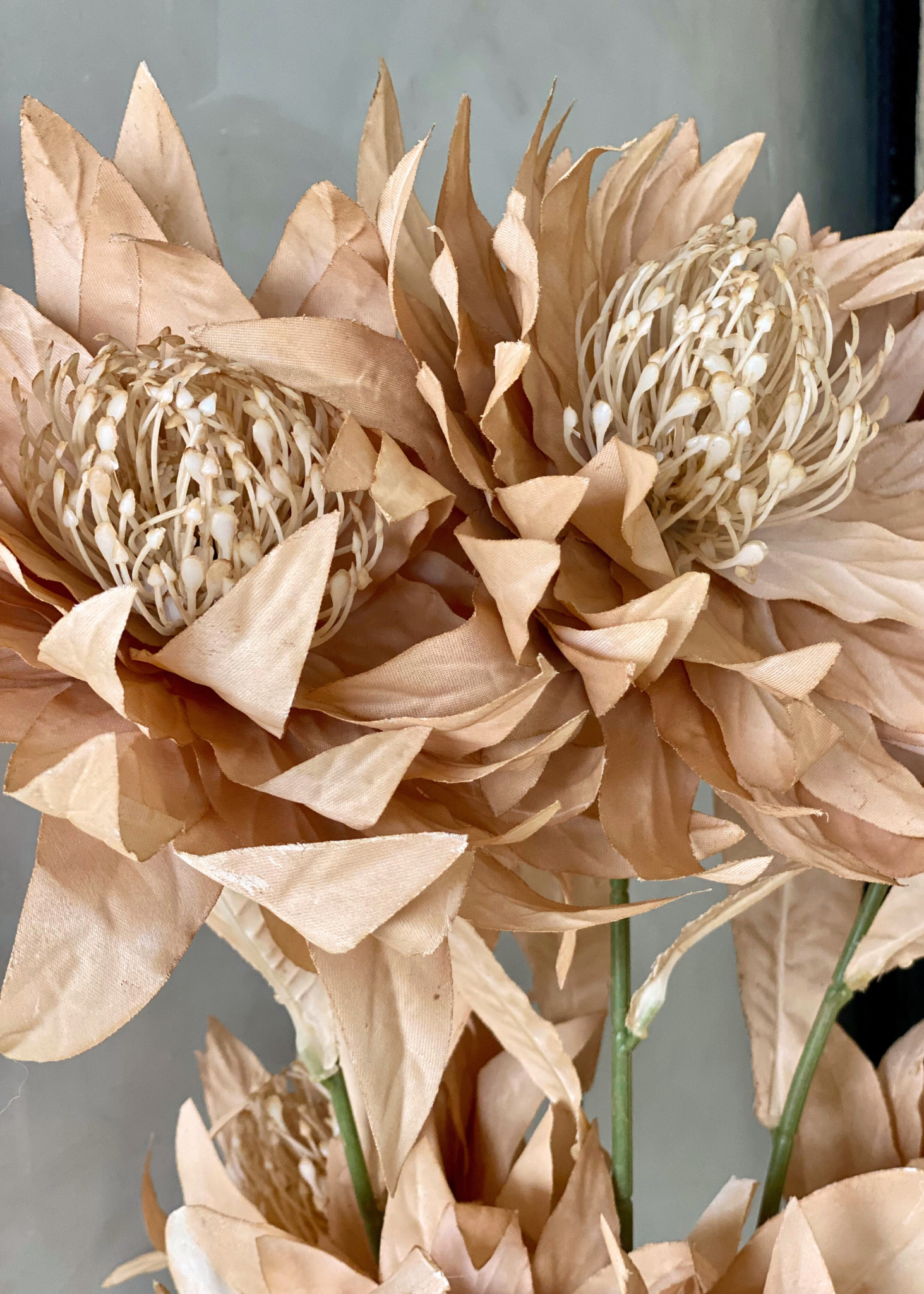 Artificial Portea Flower Stem - (One Stem) Light Brown