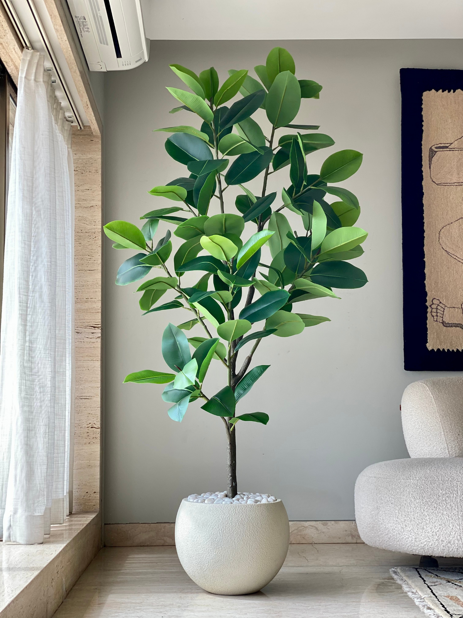 Artificial Evergreen Rubber Plant - 6.5 Feet