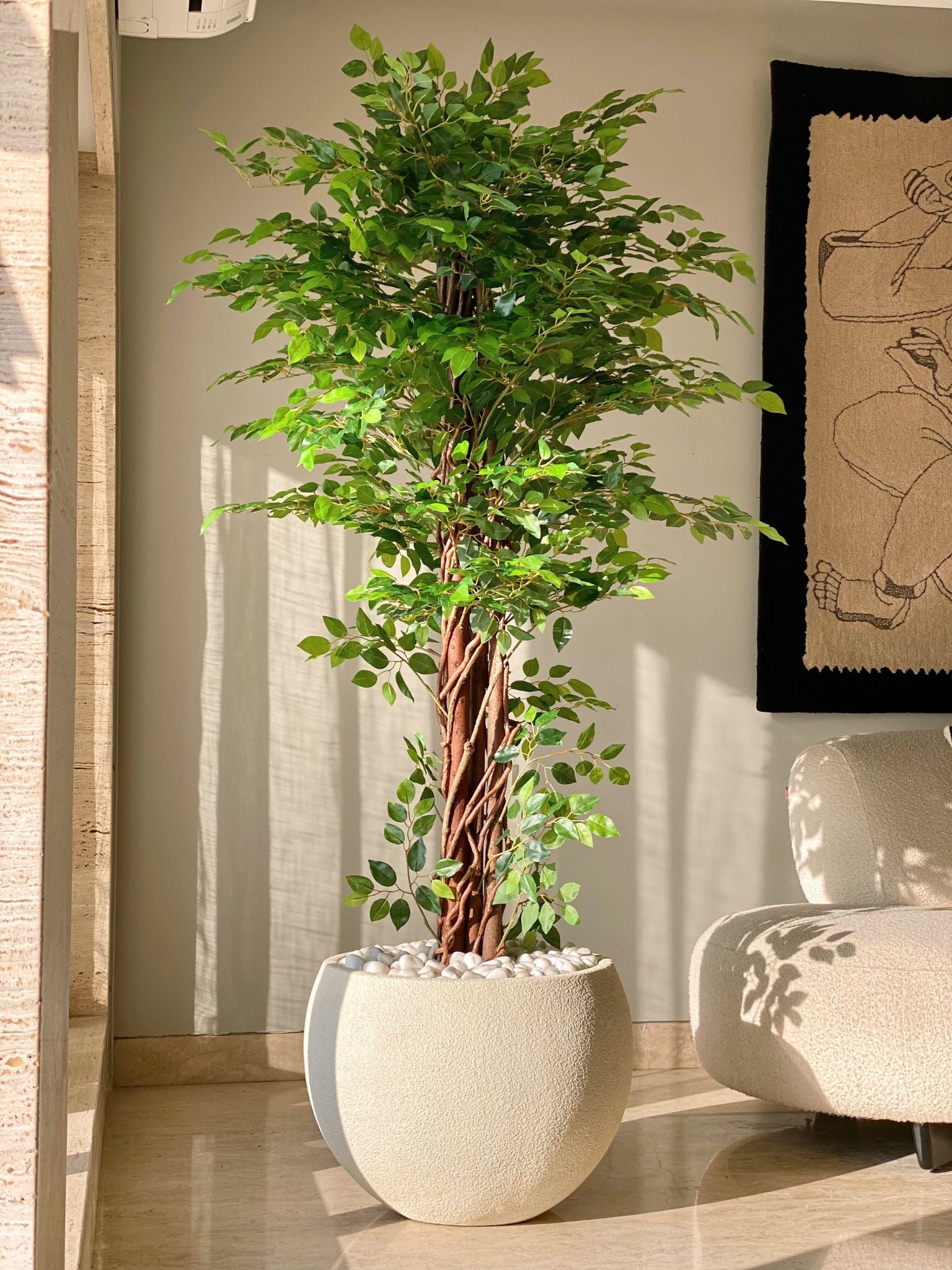 Artificial Ficus Majora Plant - 6 Feet