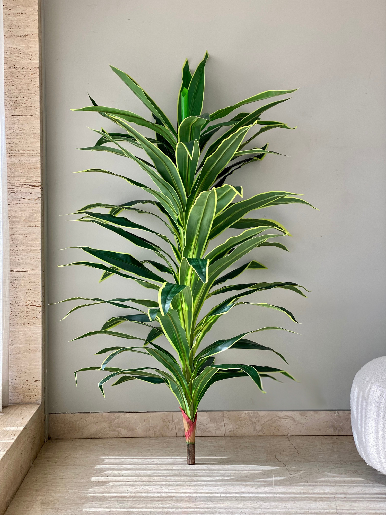 Artificial Variegated Dracaena Plant - 5.5 Feet
