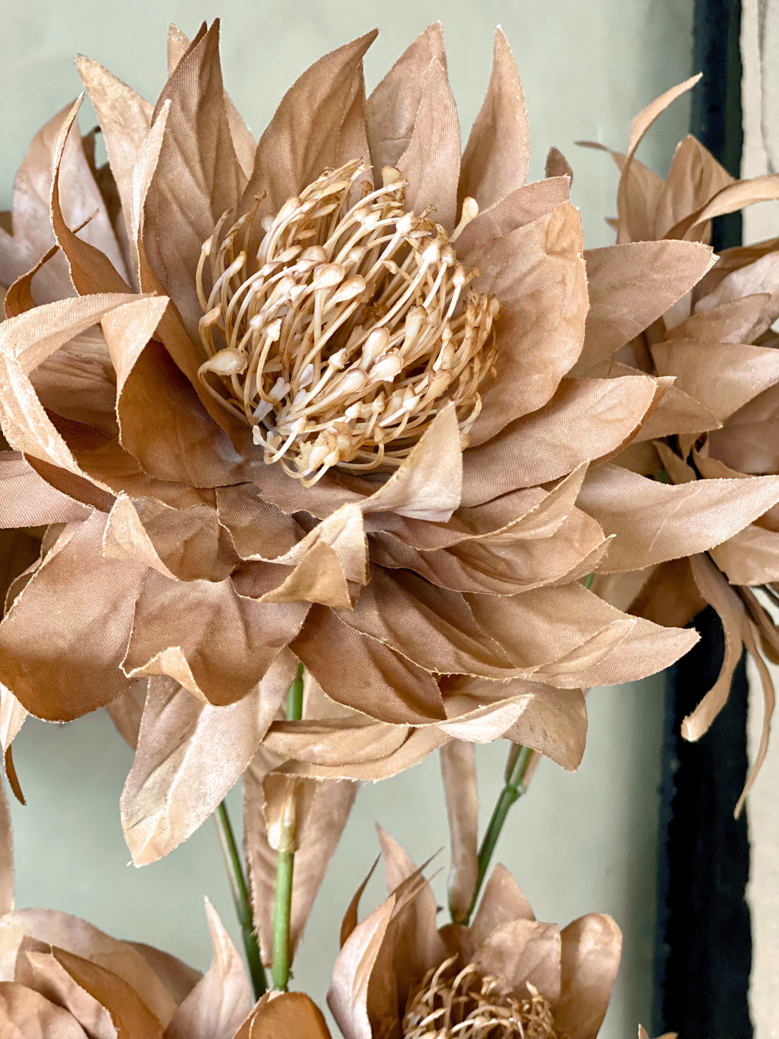 Artificial Portea Flower Stem - (One Stem) Brown