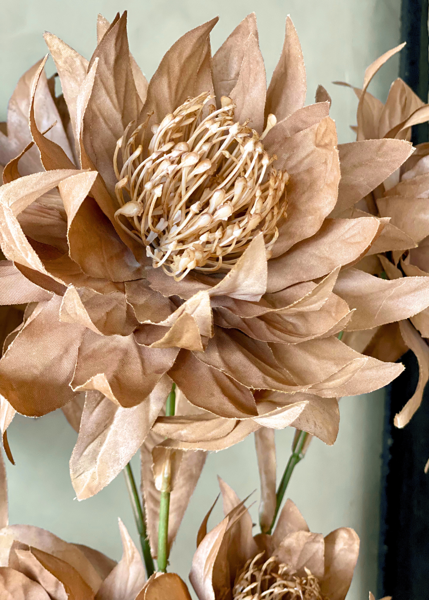 Artificial Portea Flower Stem - (One Stem) Brown