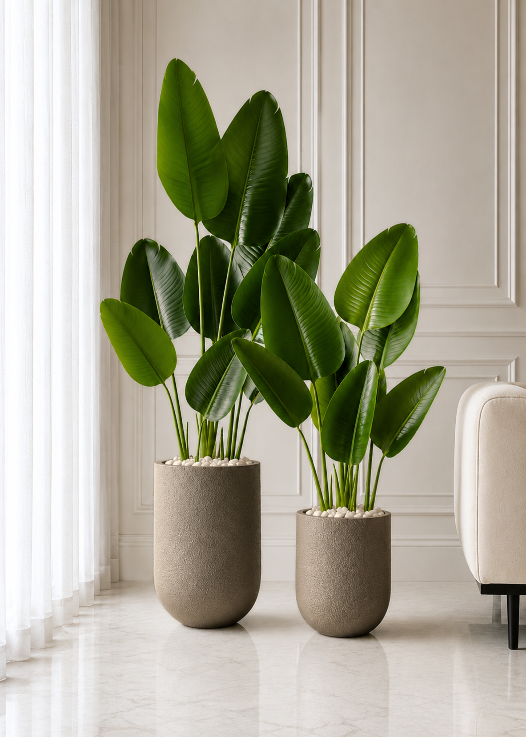 Lassa Planters - Mud Brown