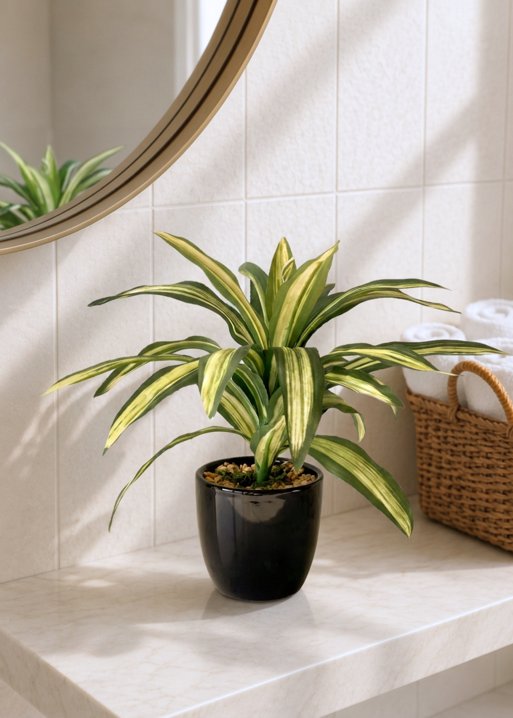 Artificial Variegated Dracaena Plant
