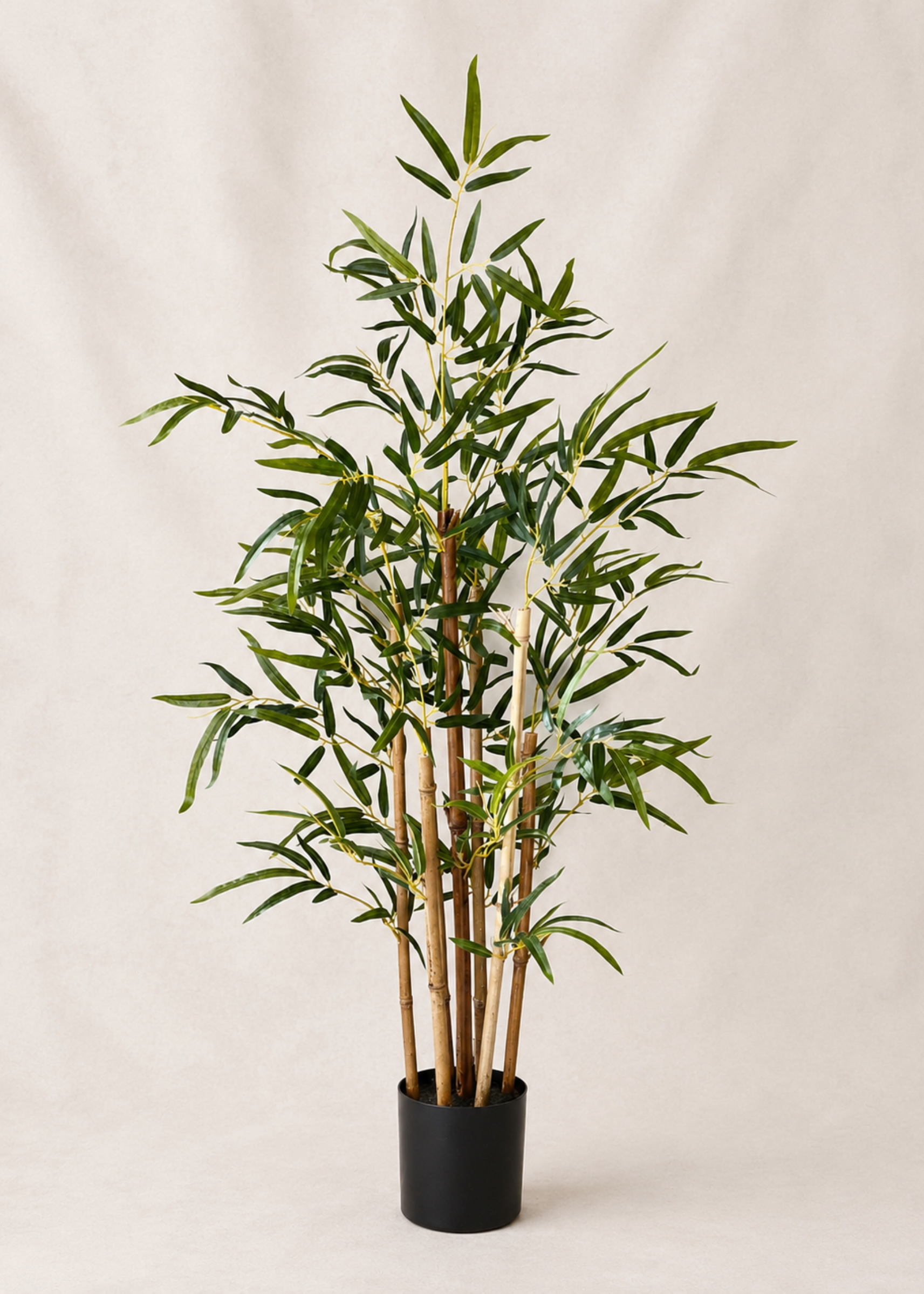 Artificial Statement Bamboo Plant - 3 Feet